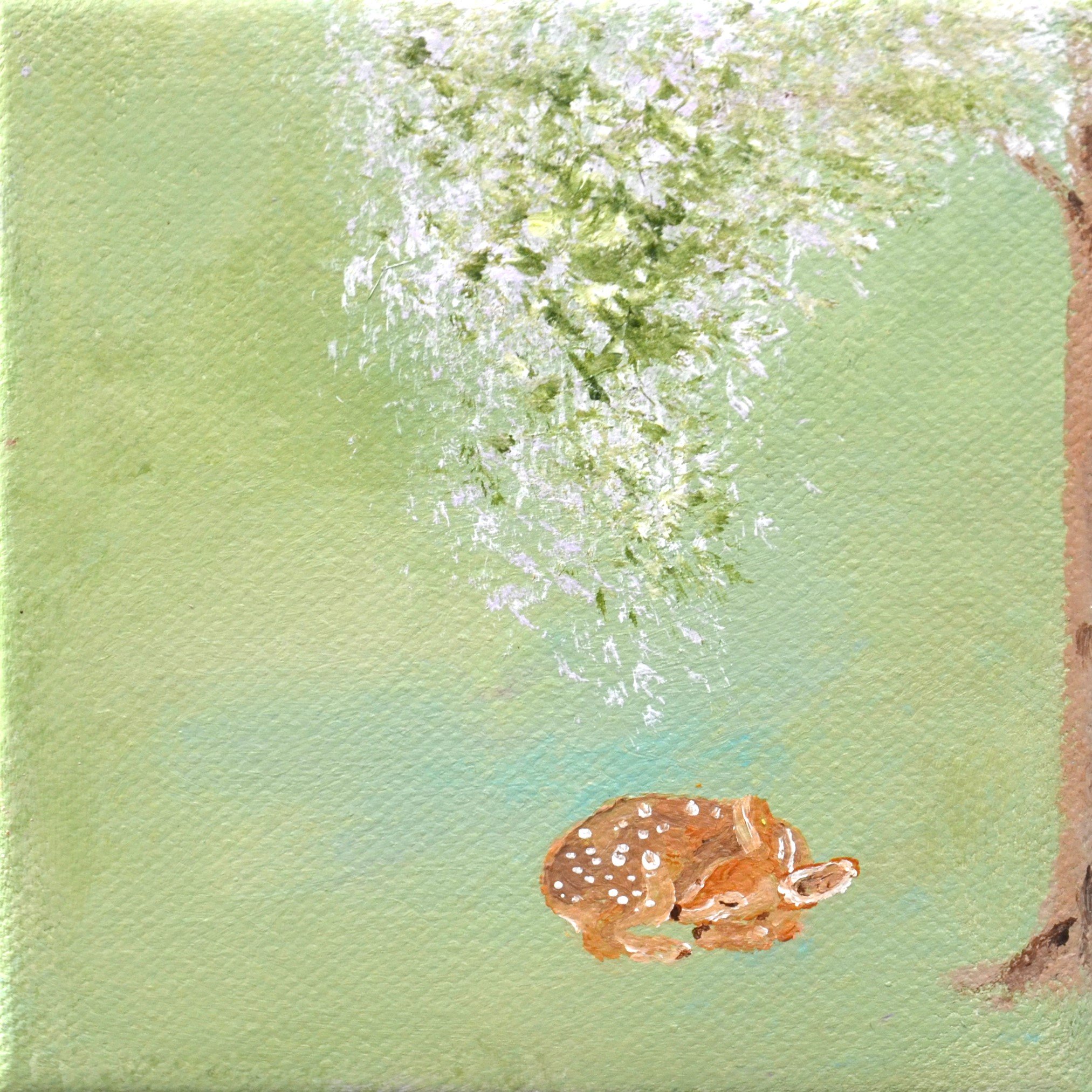 deer sleeping close up.JPG