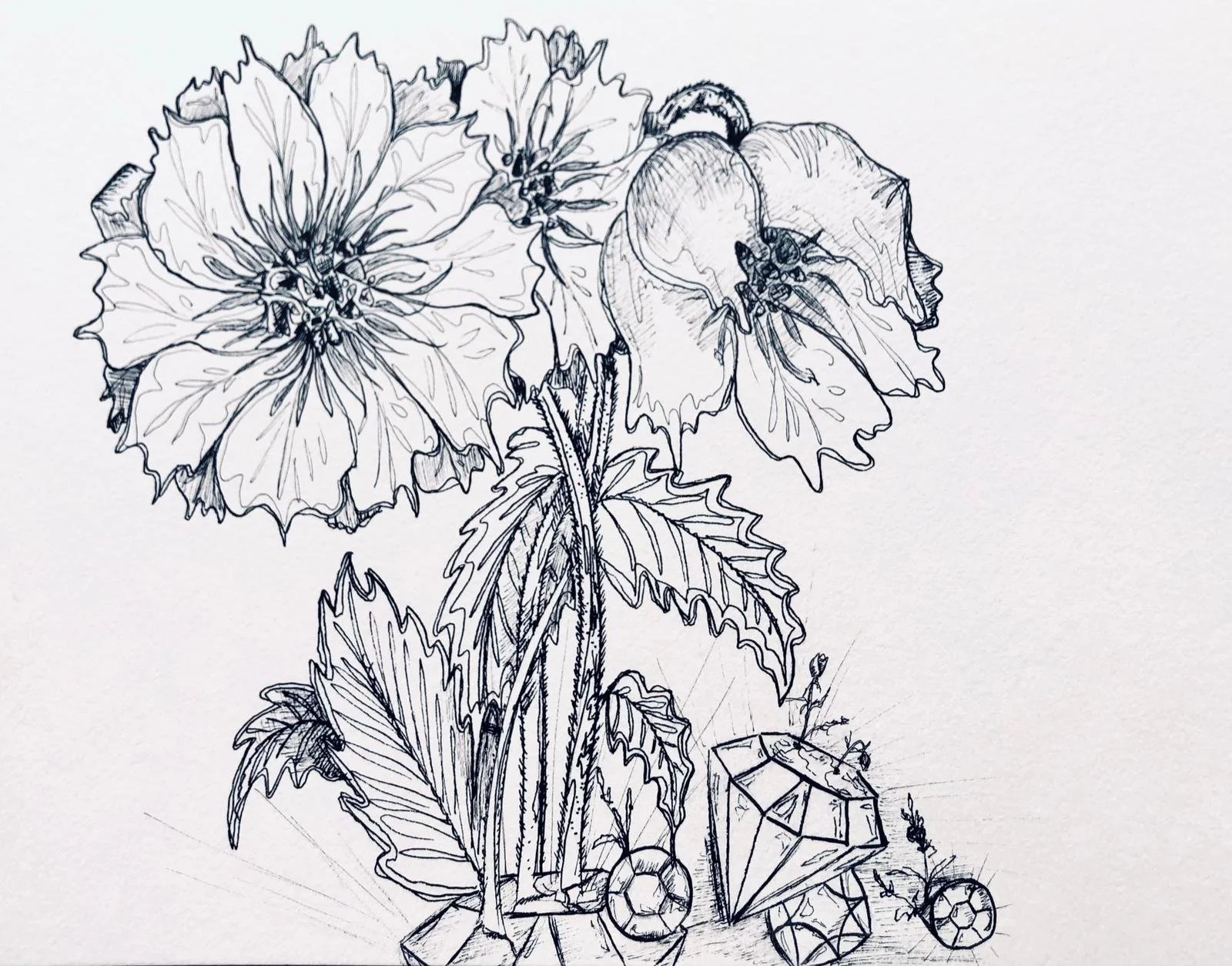 WhatsApp Image 2025-06-07 at 11.51.38 AM (2).jpeg