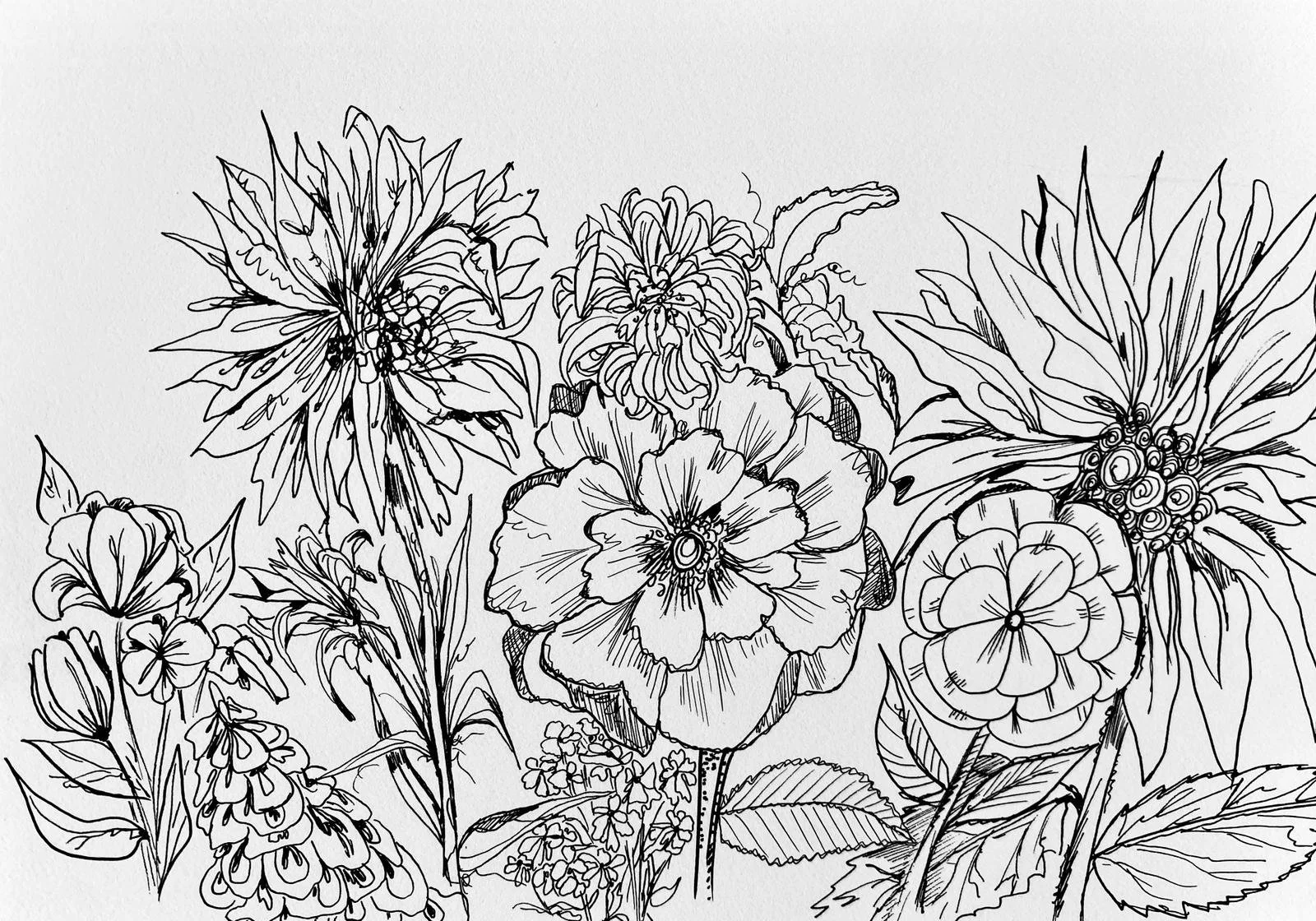 WhatsApp Image 2025-06-07 at 11.31.54 AM (1).jpeg