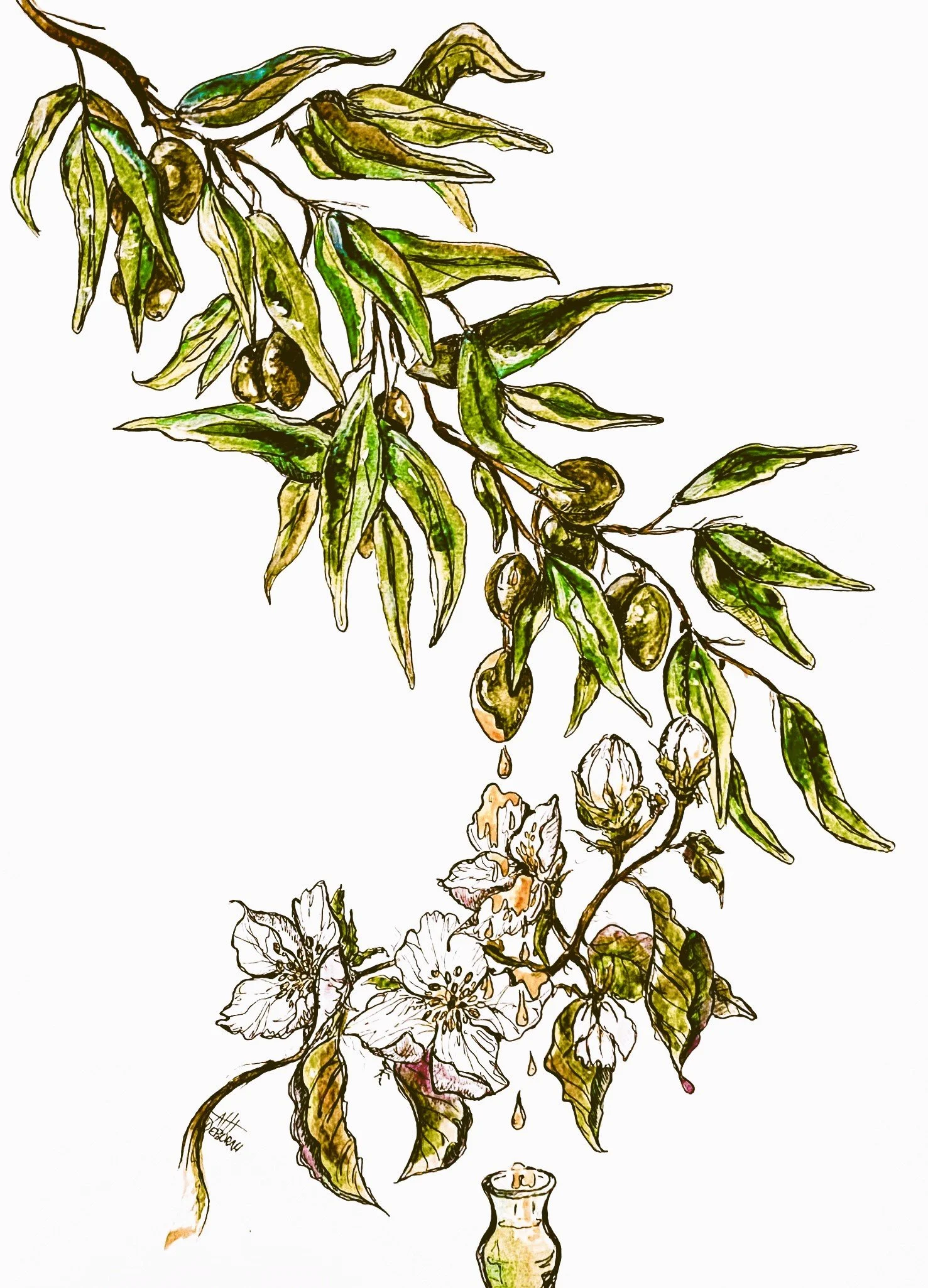 OIL_Jasmine vintage.JPEG