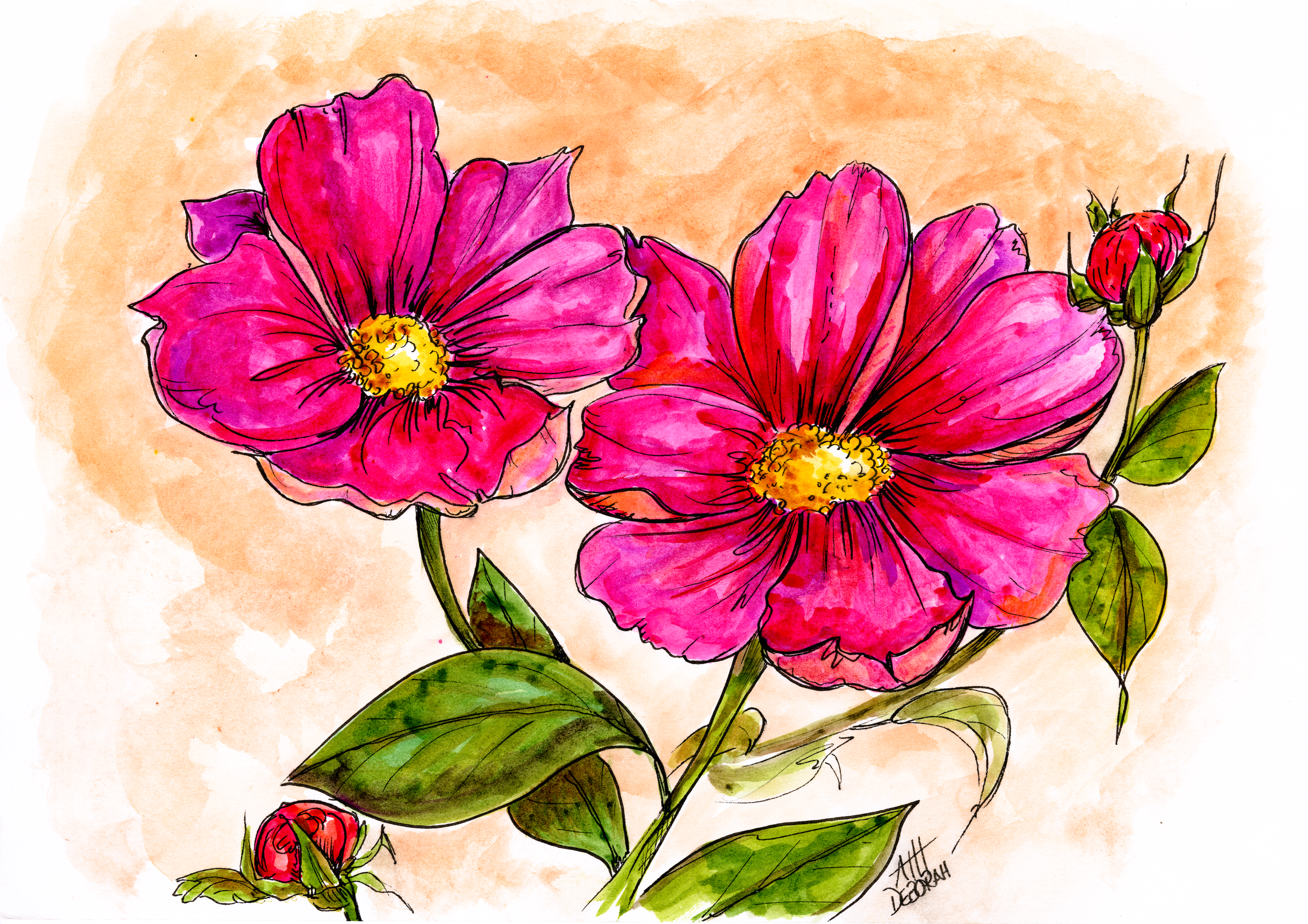 Open flowers (warm contrast) copy 2.png