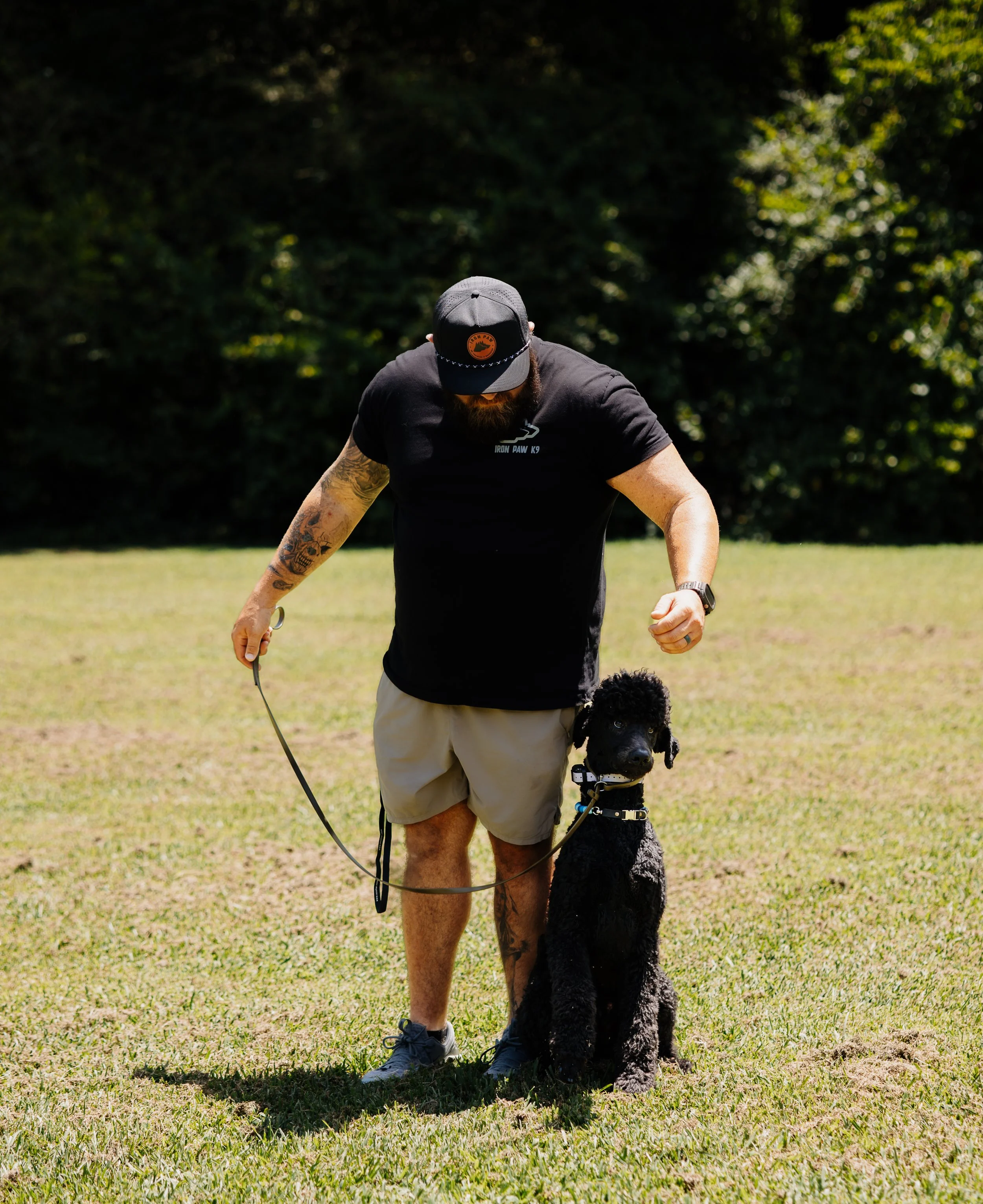 Professional dog trainer working with a Standard Poodle during an off leash obedience training session at Iron Paw K9 in Atlanta, Georgia.