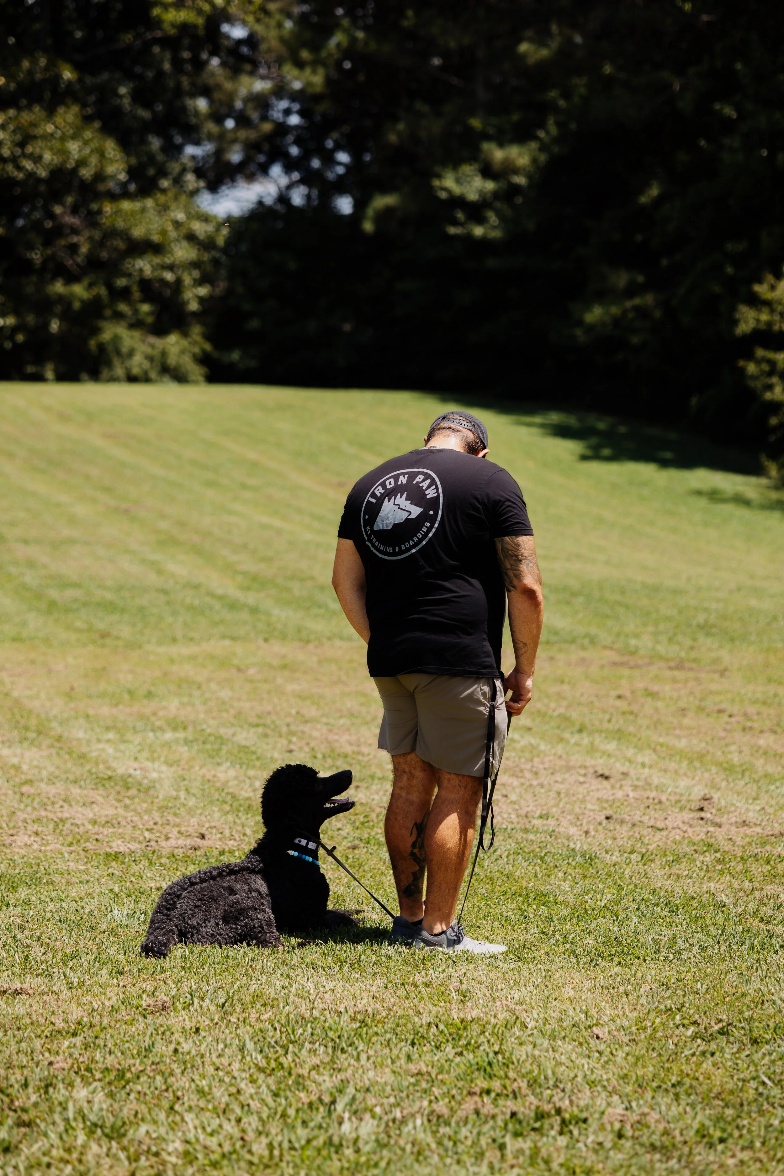 Board and train program at Iron Paw K9 featuring a professional dog trainer working with a Standard Poodle in Hall County, Georgia.