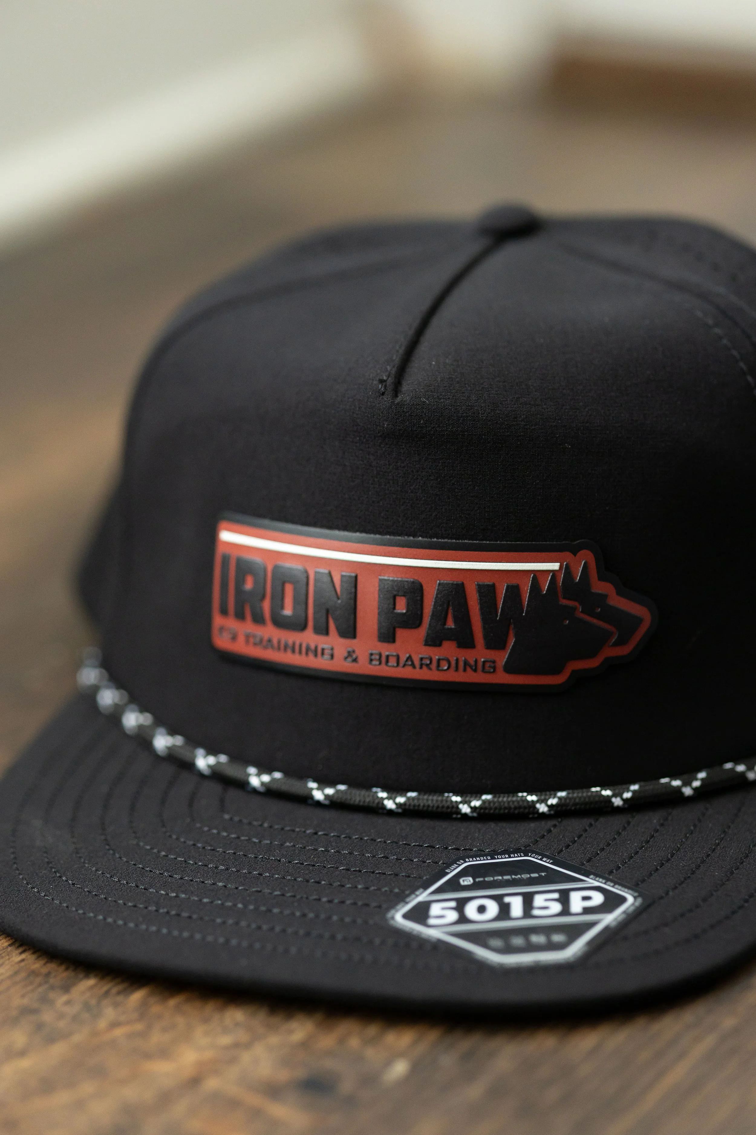 IronPawK9-DogTrainer-GainesvilleGeorgia-8329.jpg