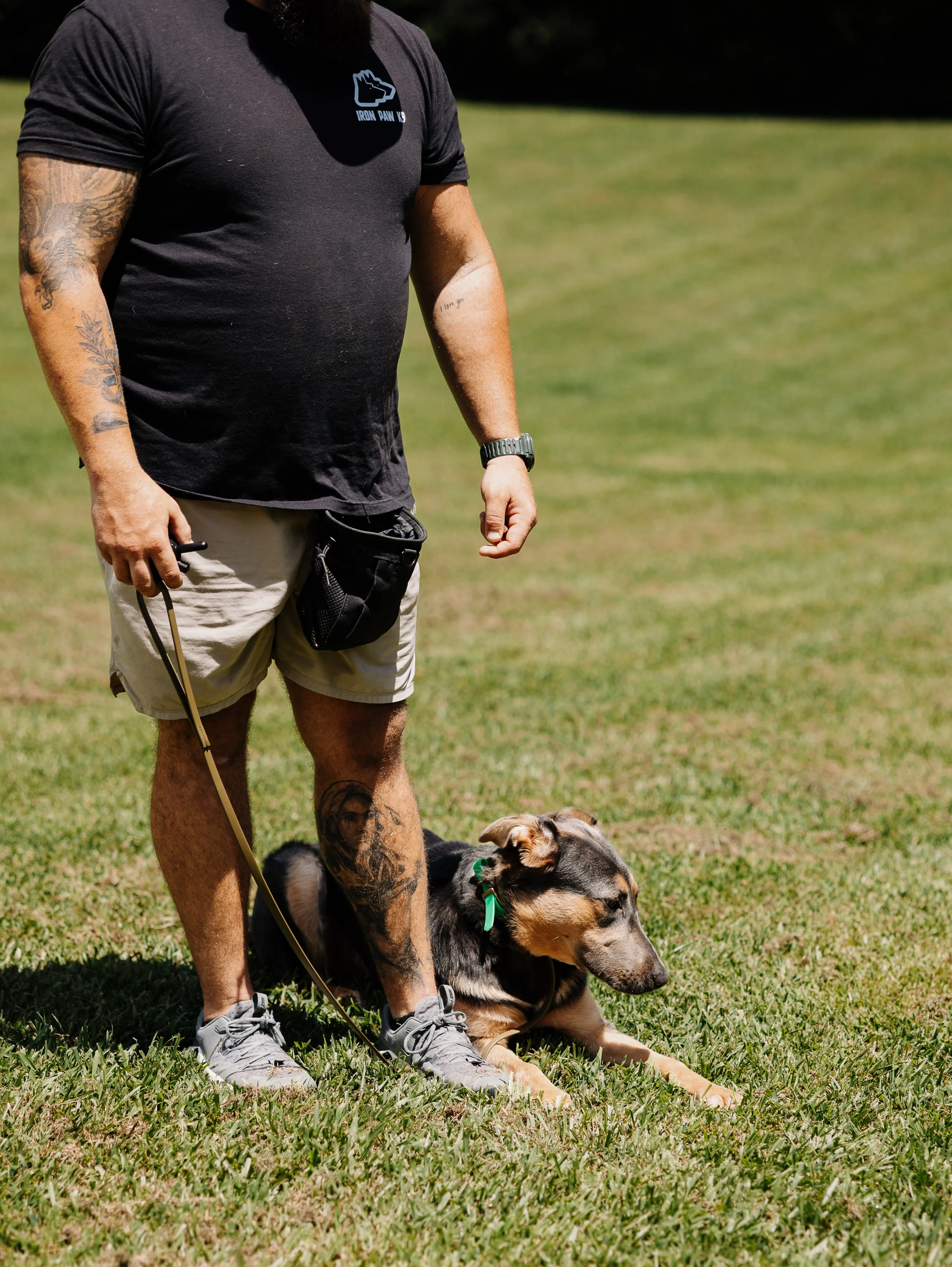 Professional dog trainer guiding a young German Shepherd through a place command during obedience training at Iron Paw K9 in Hall County, Georgia.