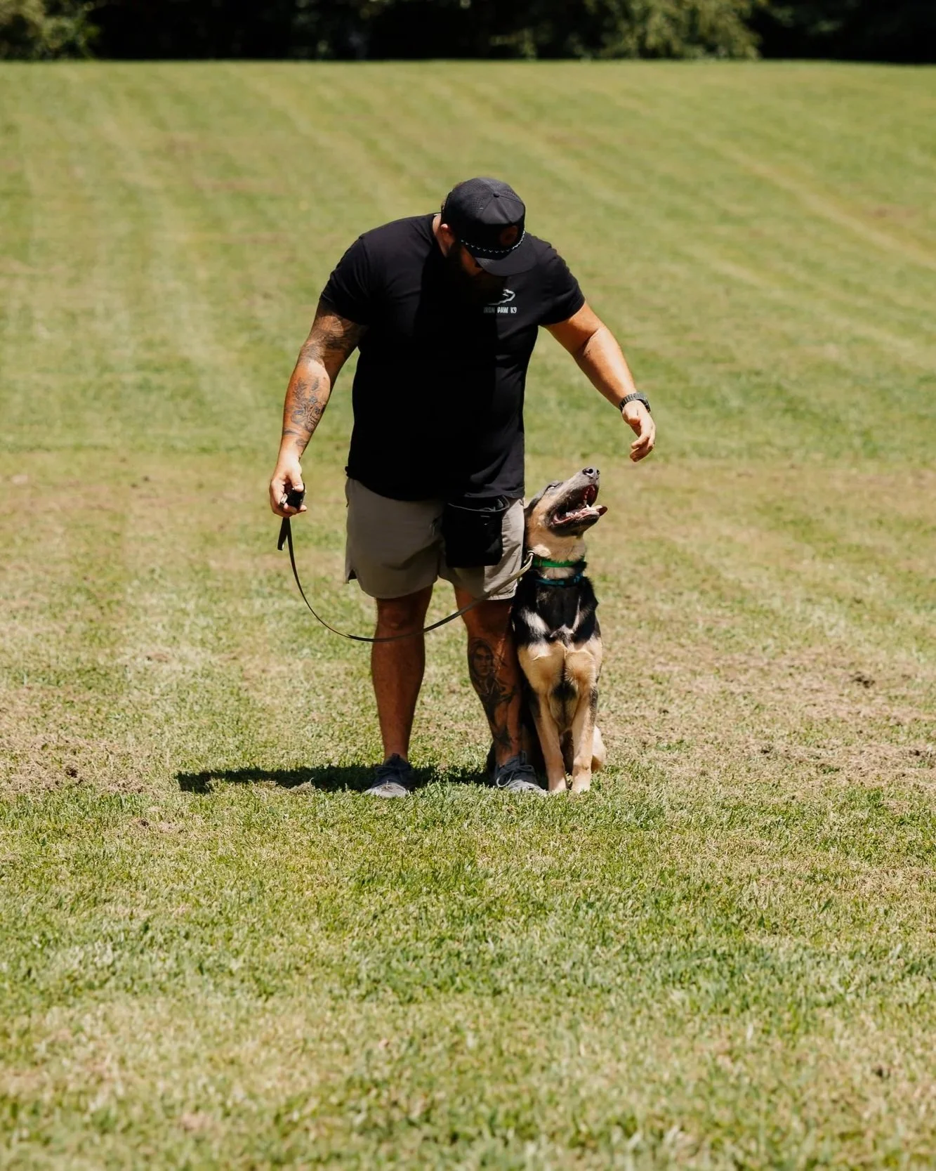 Professional heel training with a German Shepherd at Iron Paw K9 serving Hall County, Atlanta, and surrounding areas.