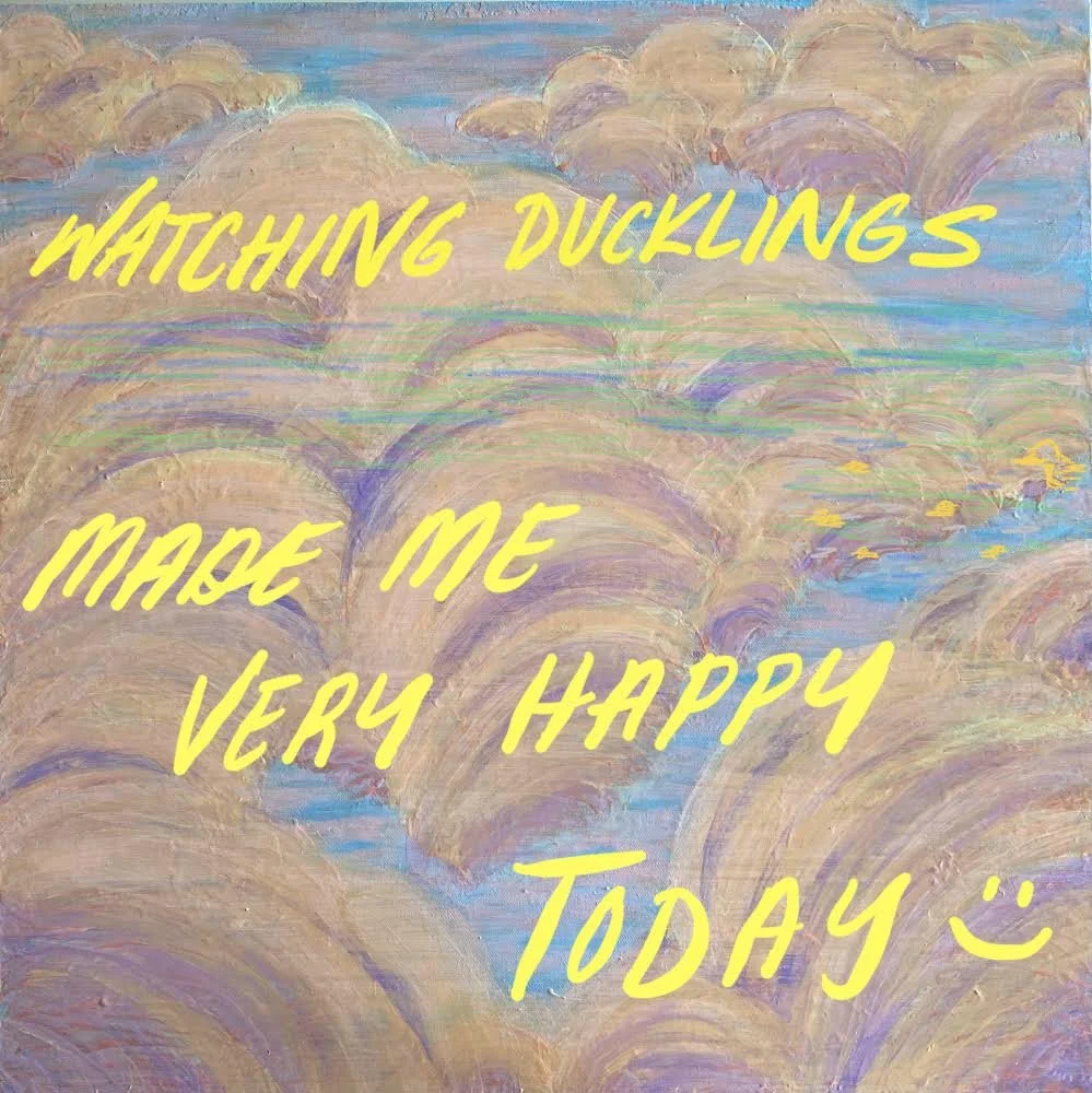 [ducklings]
