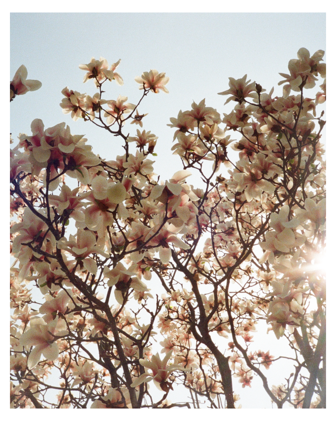 Instagram post - 25.png