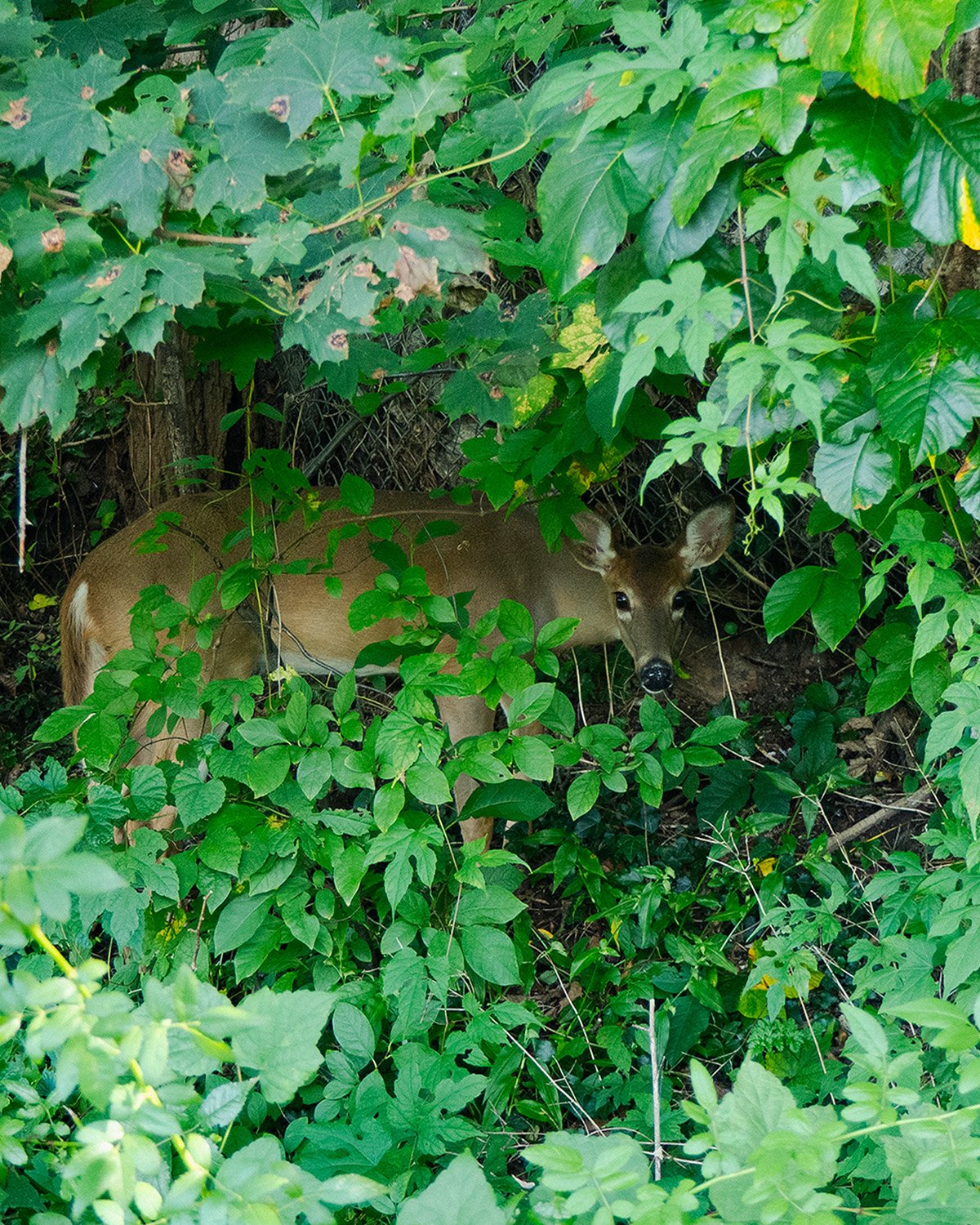 PA030252.jpg