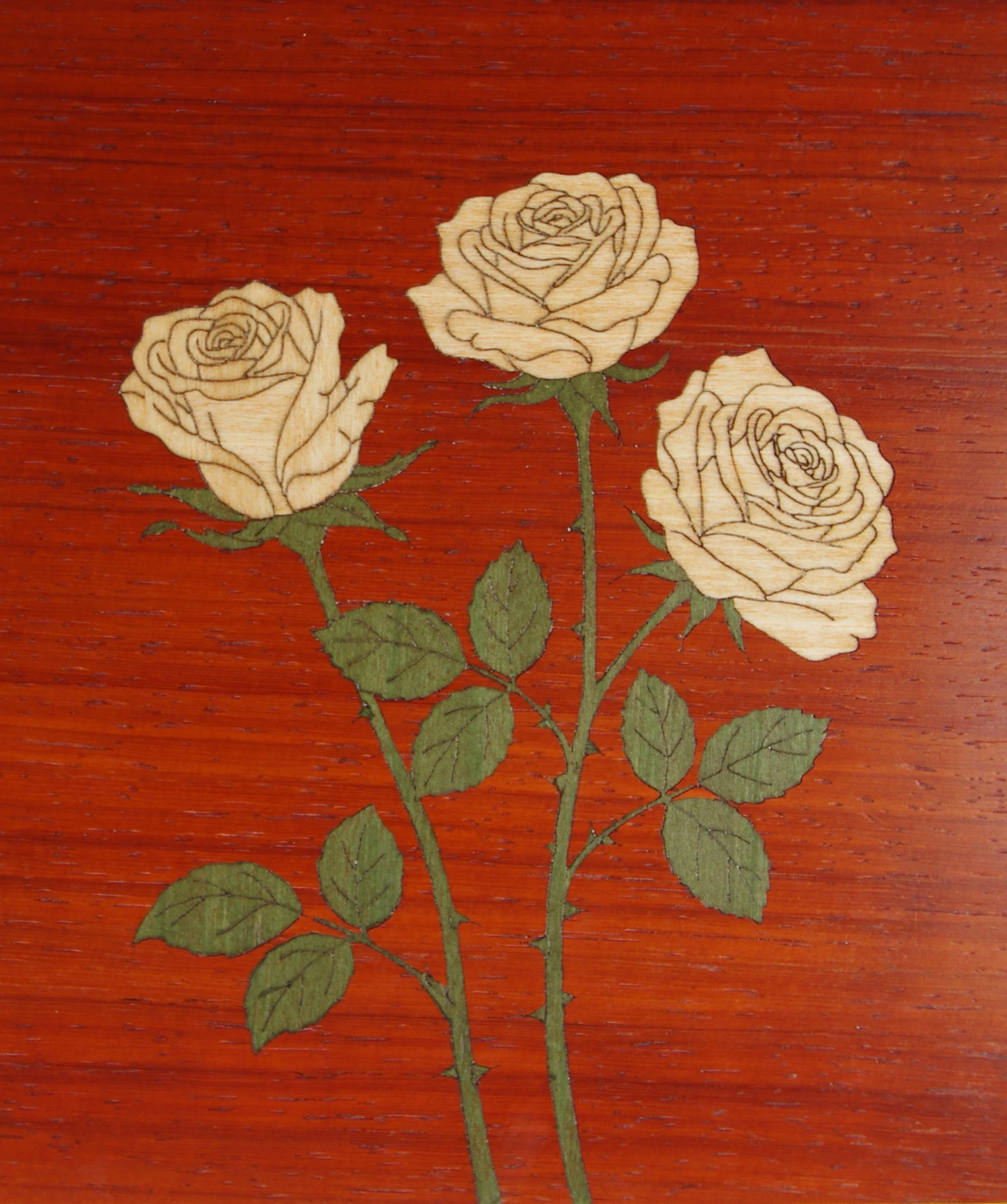 Paduak Roses 1.JPG