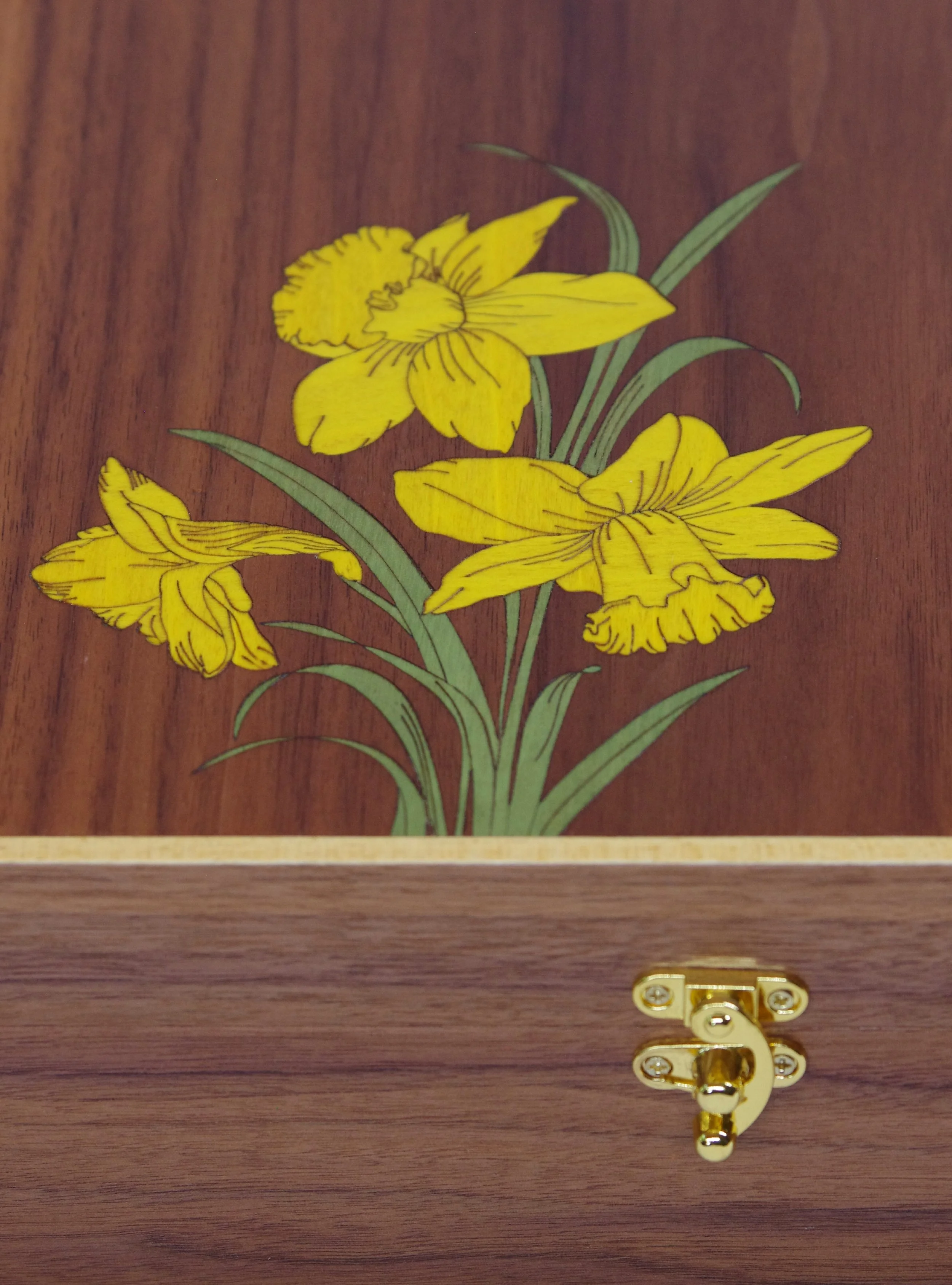 Daffodils 3.JPG
