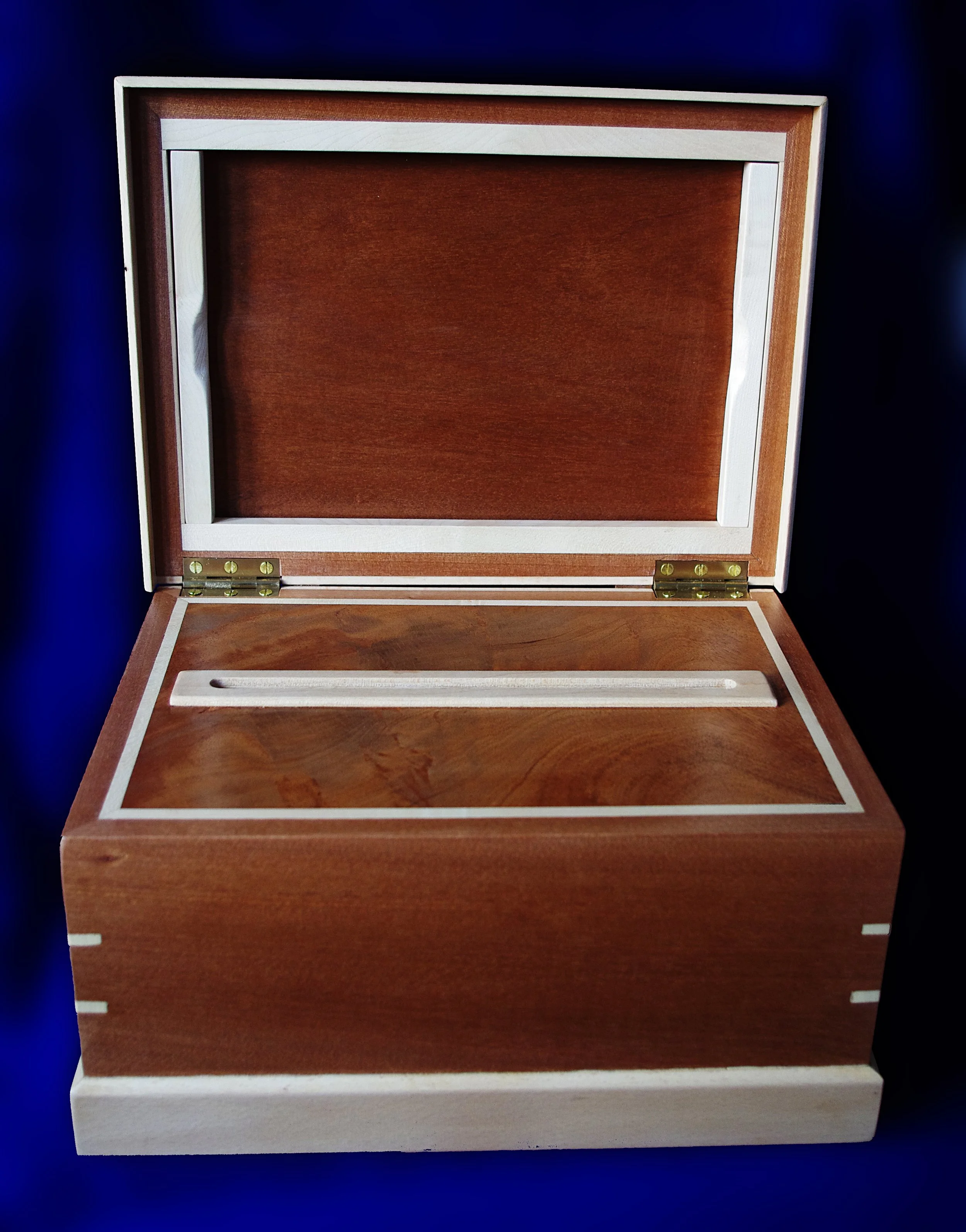 Collection Box 4.jpg