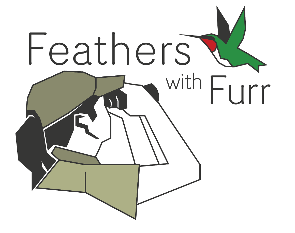 Feathers with Furr LLC