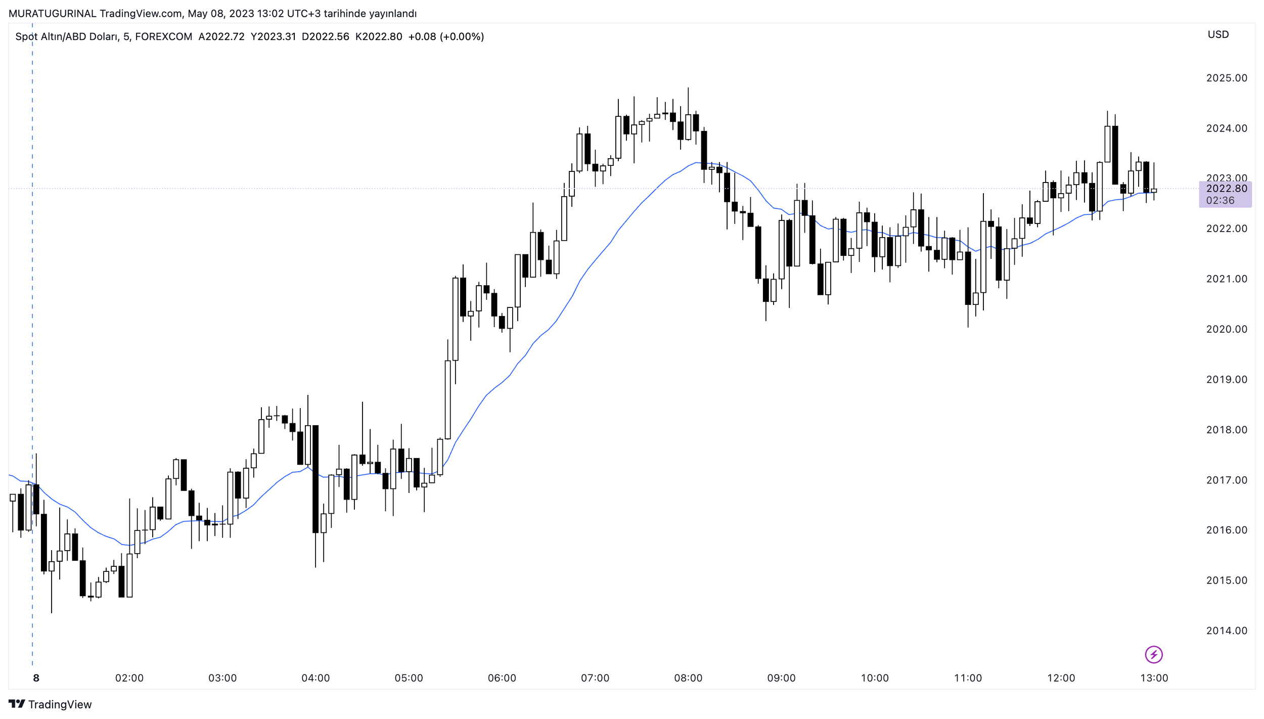 What a normal person sees