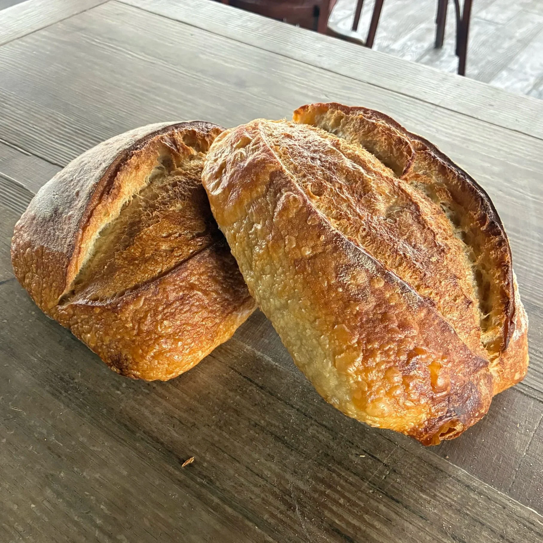 Sourdough+-square.jpg