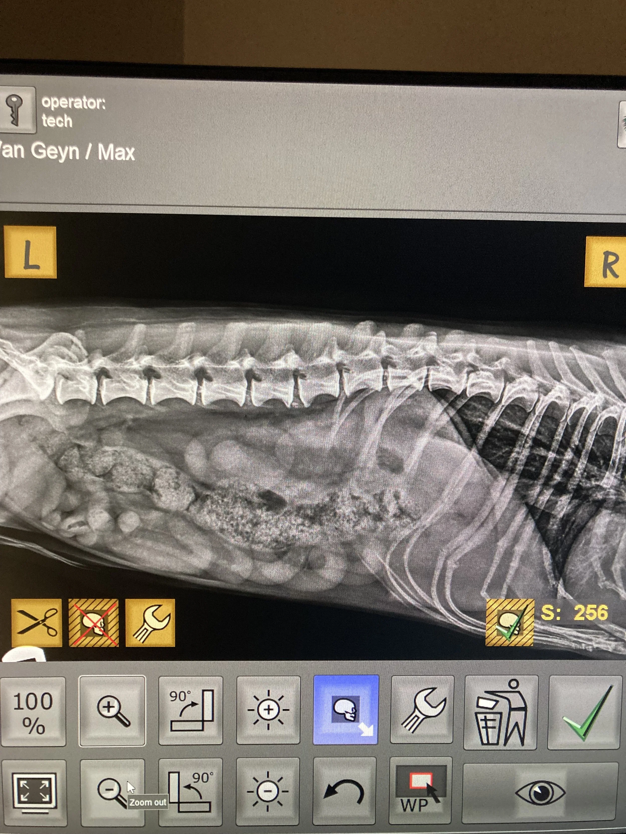 X-ray of a dog’s abdominal area showing vertebrae, ribs, and internal organs. Labels include 'L' and 'R' for left and right, and text indicating the operator's name as Van Geyn / Max.