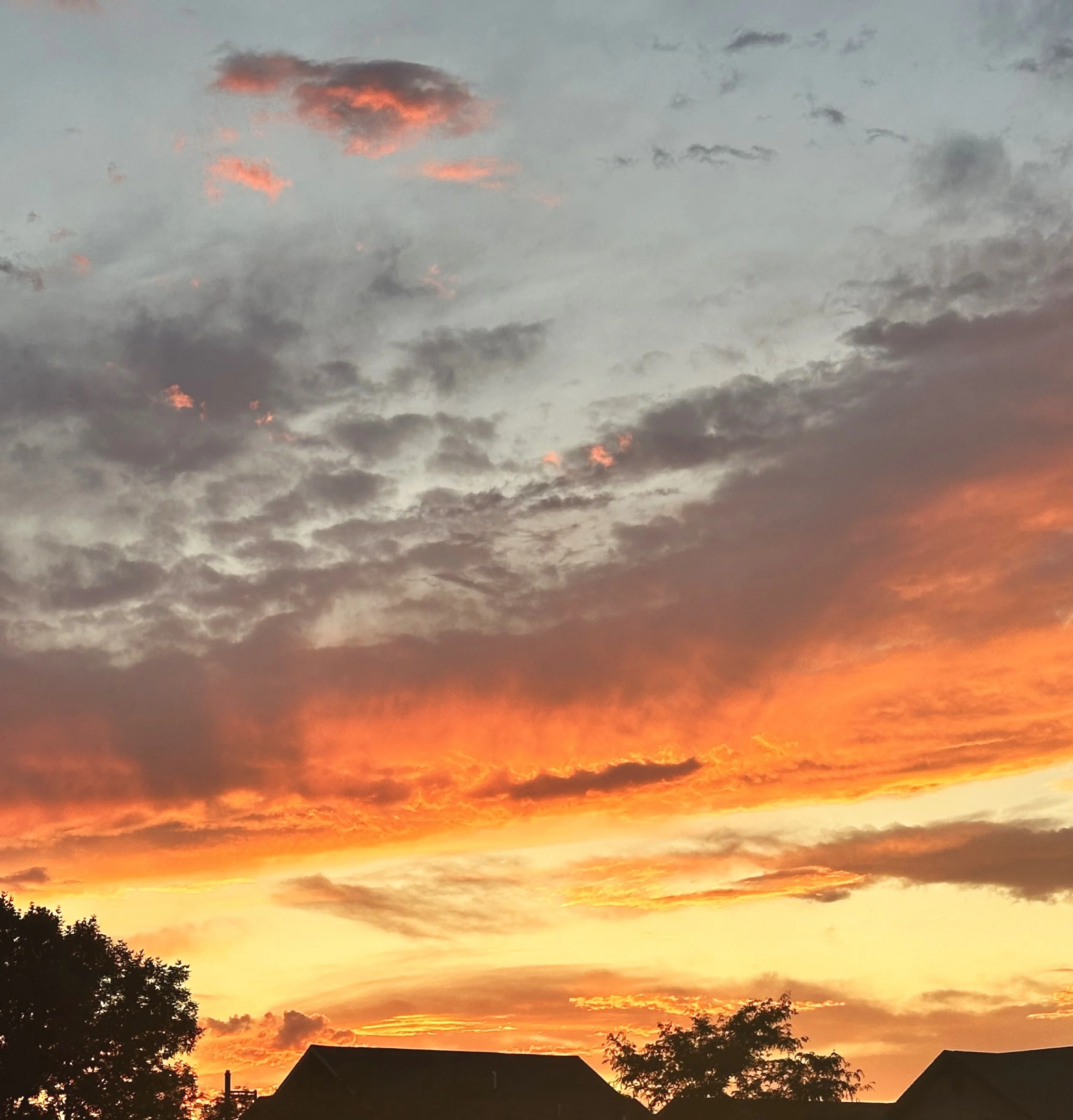 A vibrant sunset with orange, pink, and gray clouds over silhouettes of trees and rooftops.