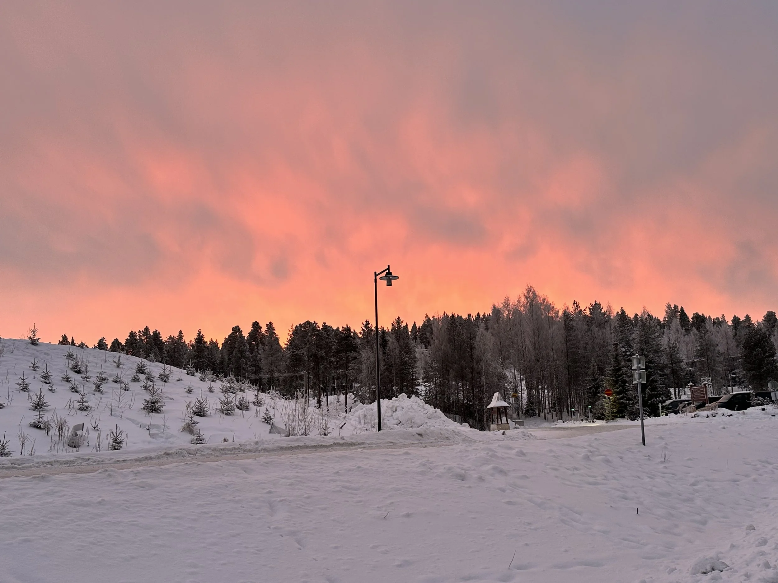 Snow-covered landscape with small trees on a hillside, a forest in the background, and a sky with pink and grey clouds at sunset.