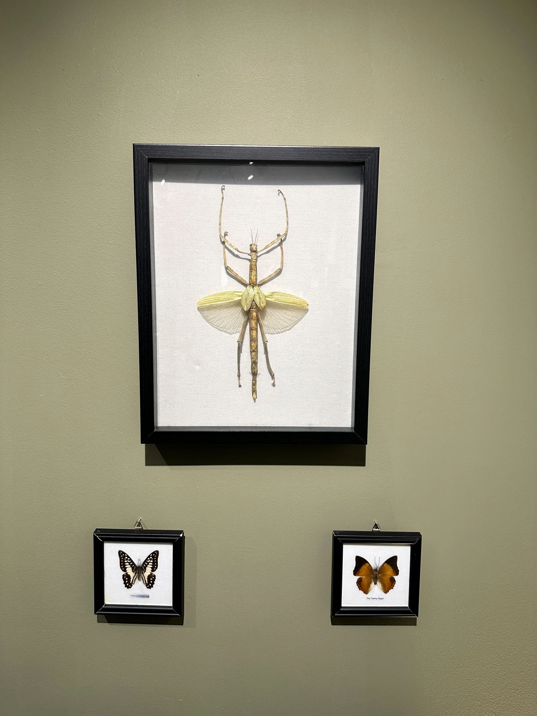 Im Buggin Out - 83.jpg