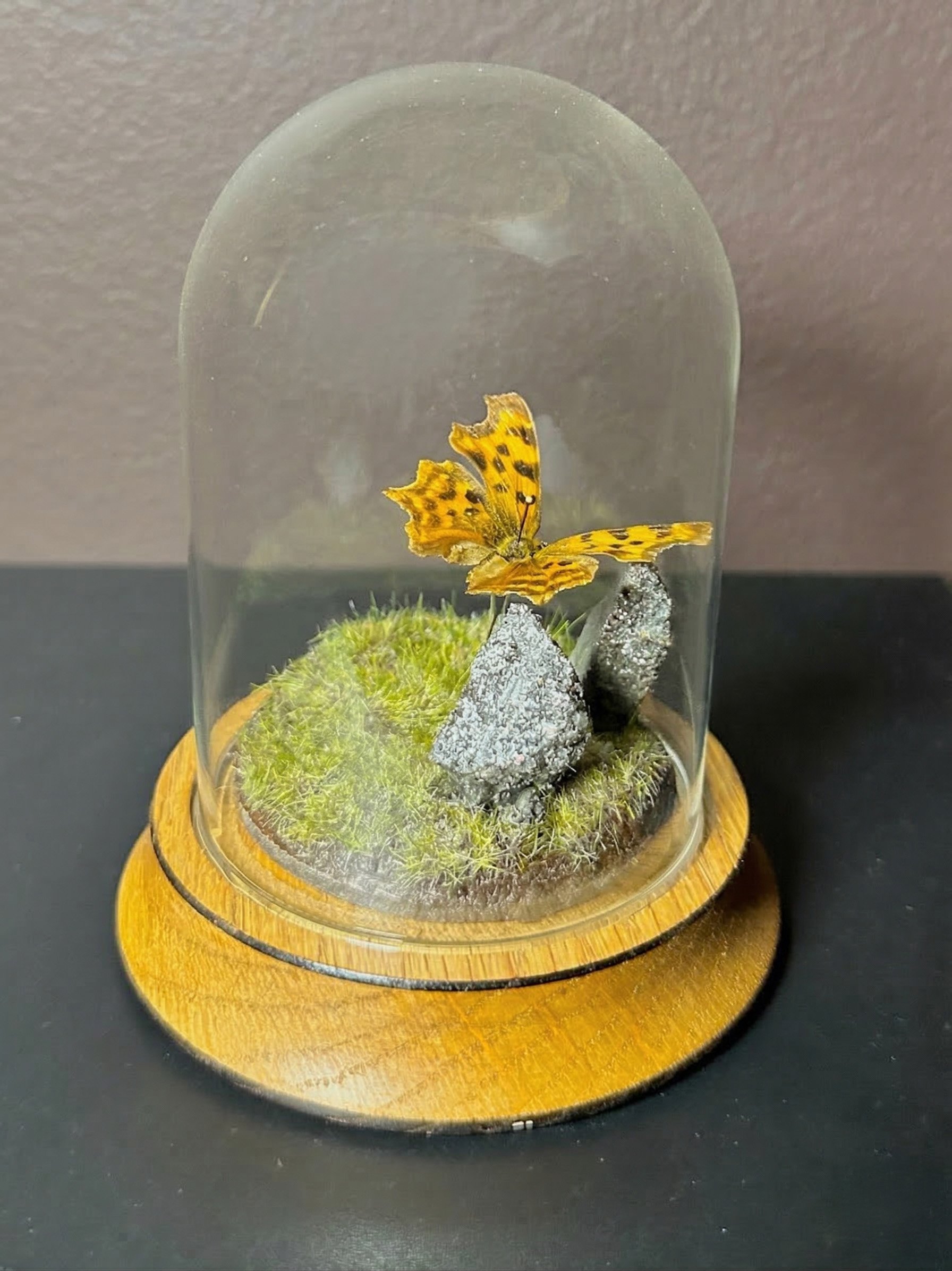 Im Buggin Out - 4.jpg