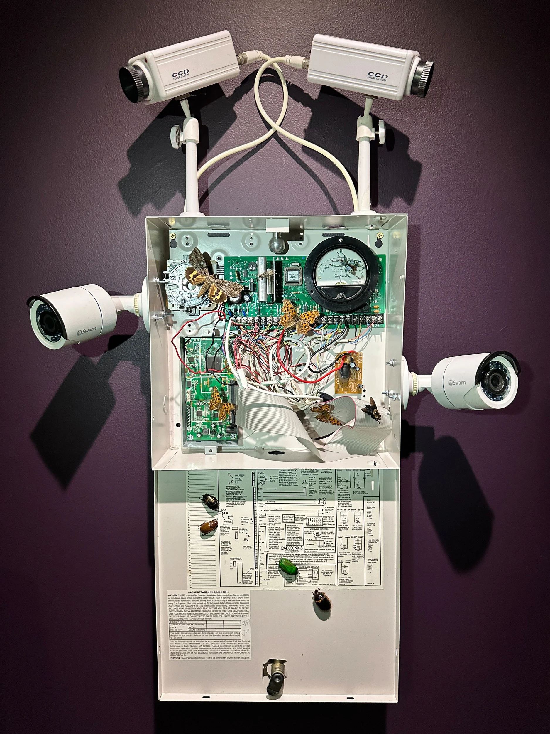 Im Buggin Out - 72.jpg