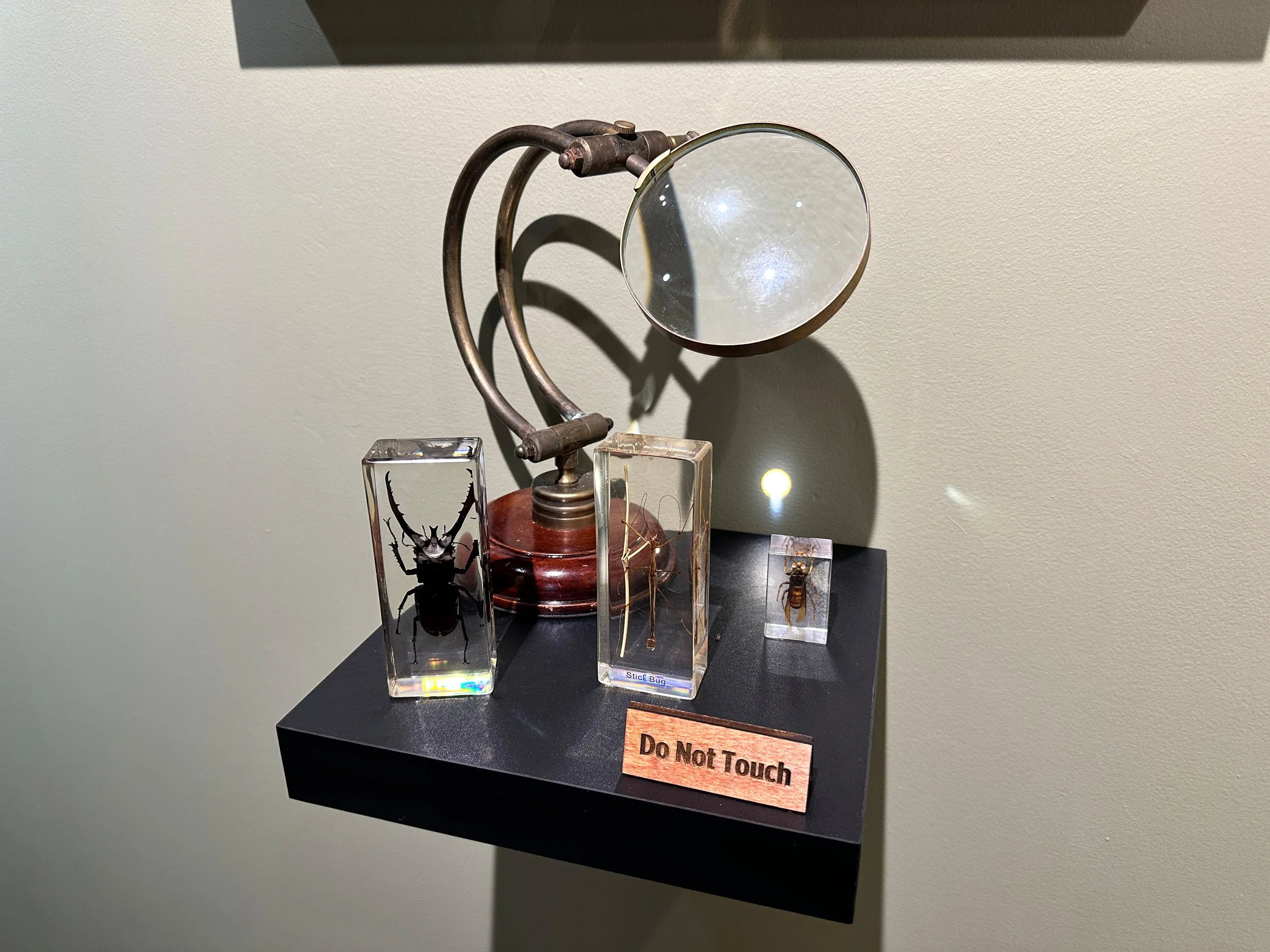 Im Buggin Out - 82.jpg