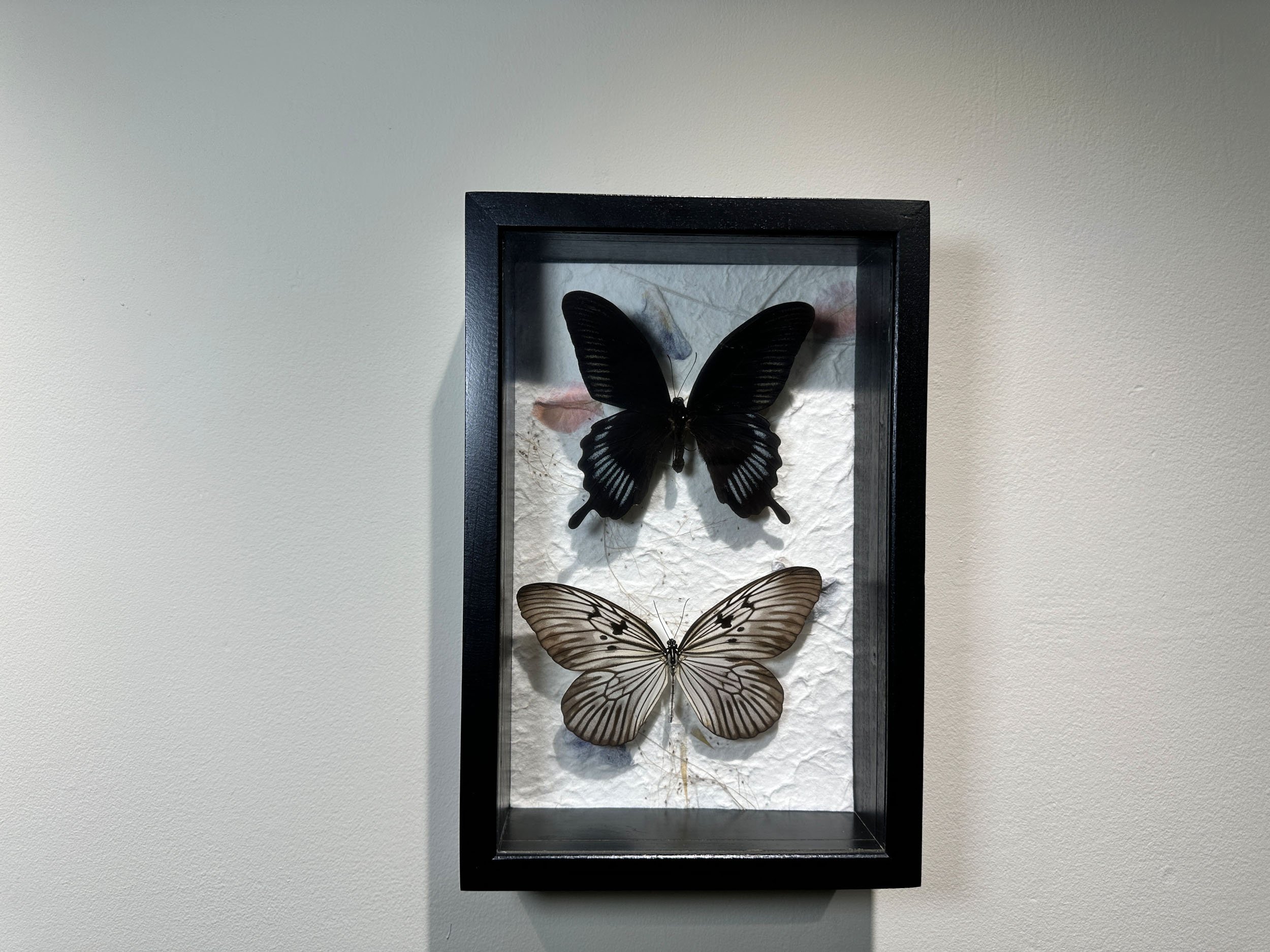 Im Buggin Out - 14.jpg