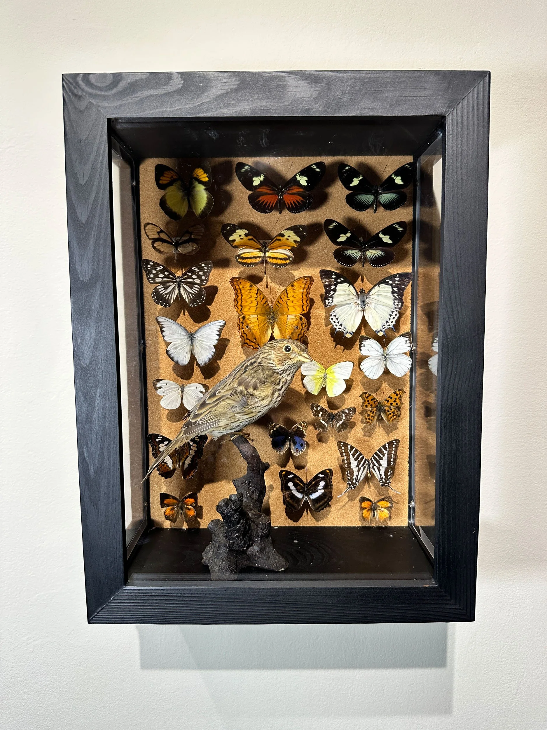 Im Buggin Out - 15.jpg