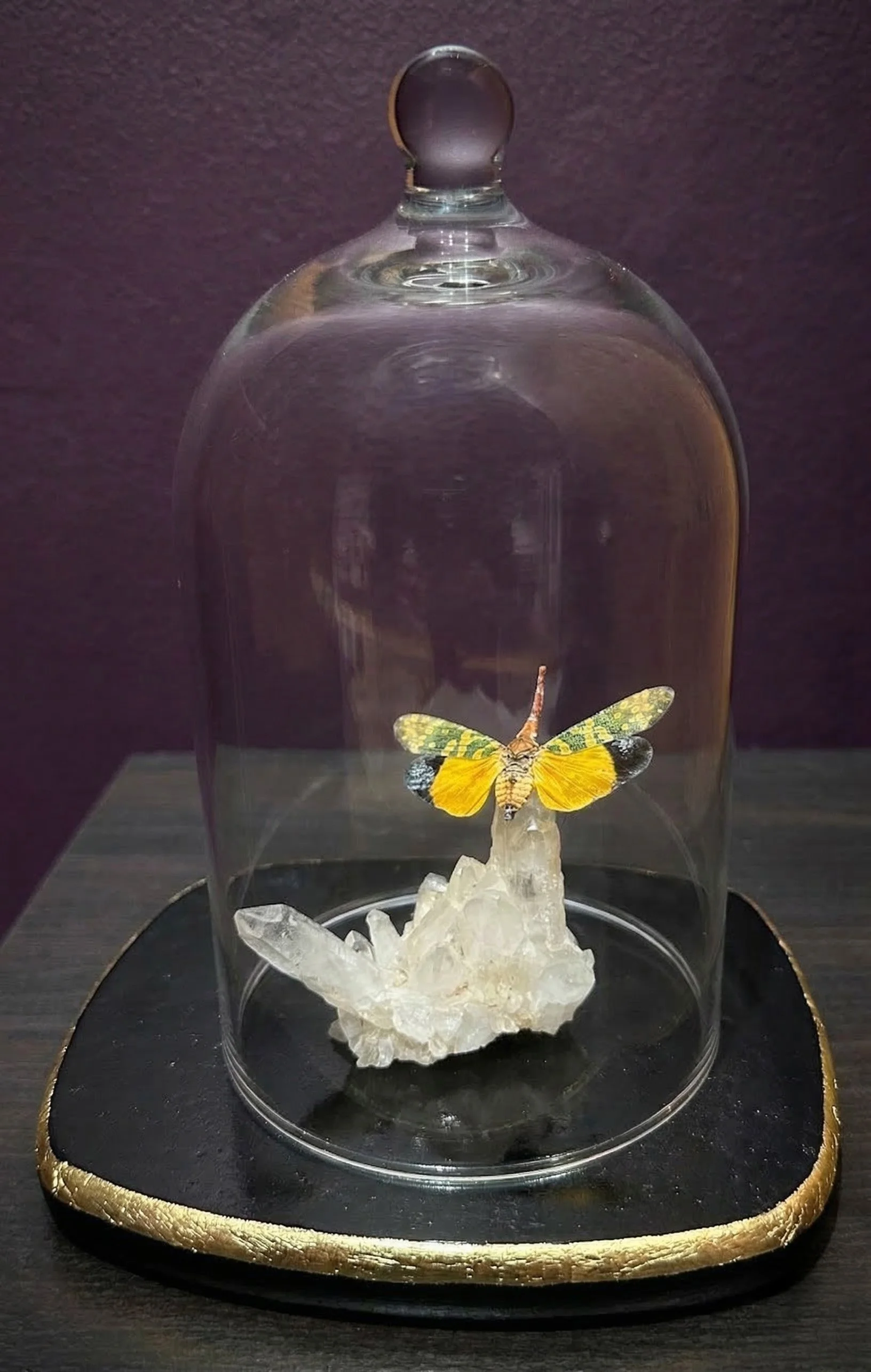 Im Buggin Out - 5.jpg