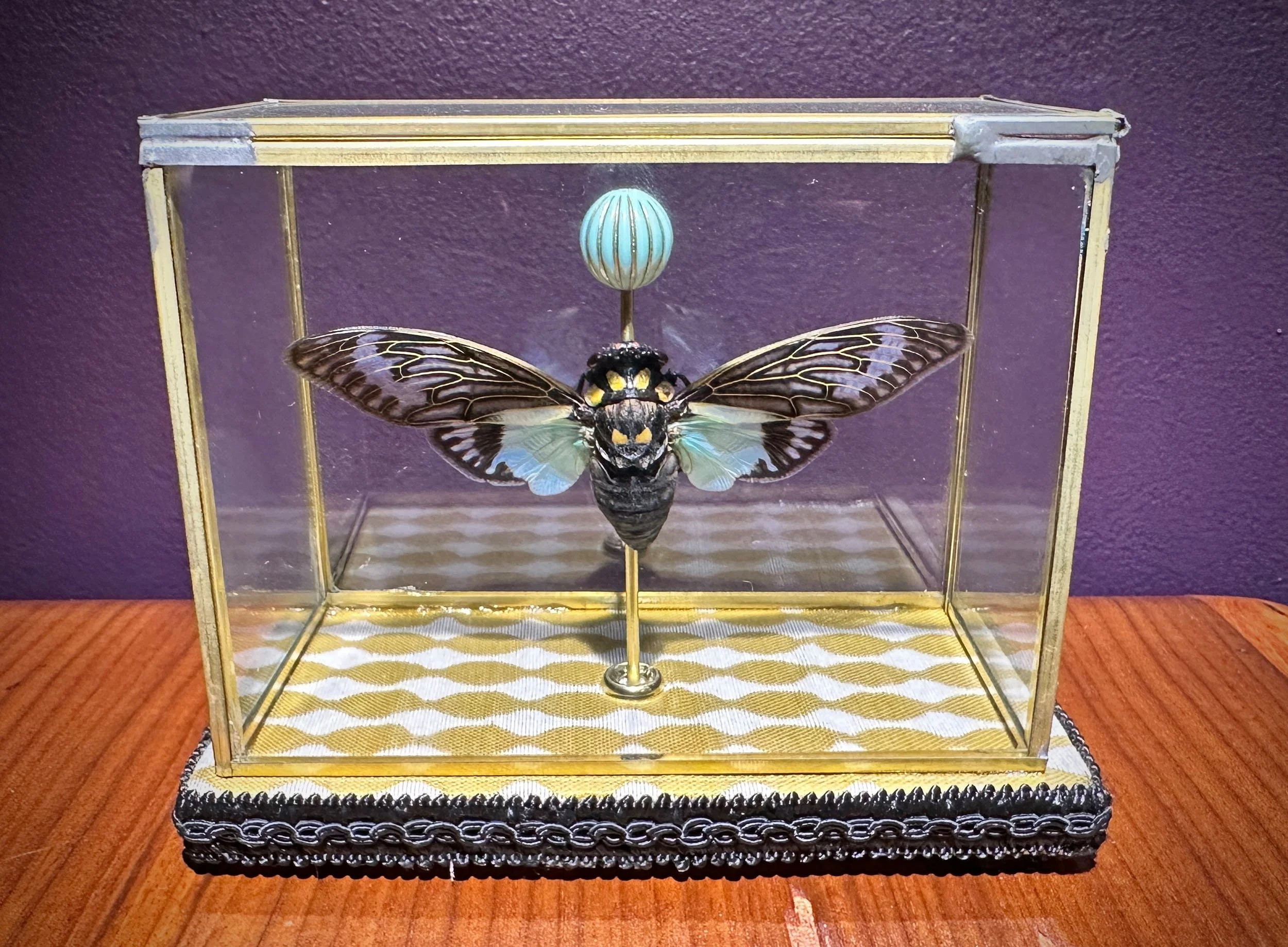 Im Buggin Out - 47.jpg