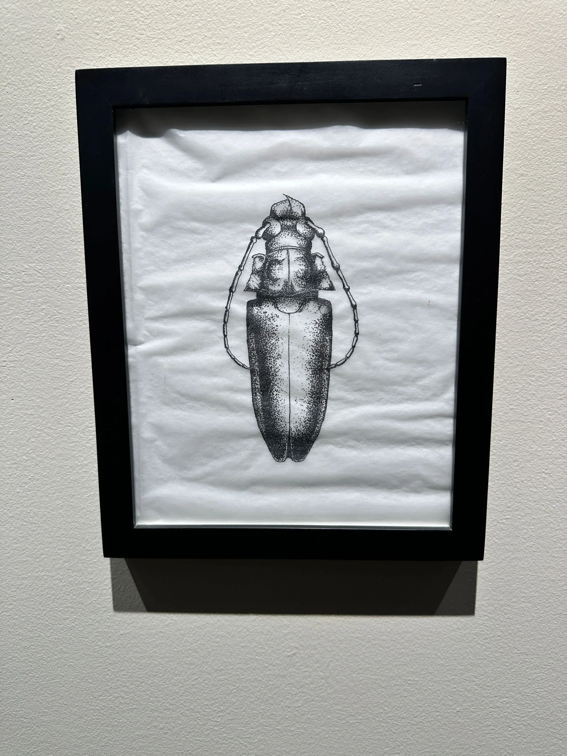 Im Buggin Out - 7.jpg