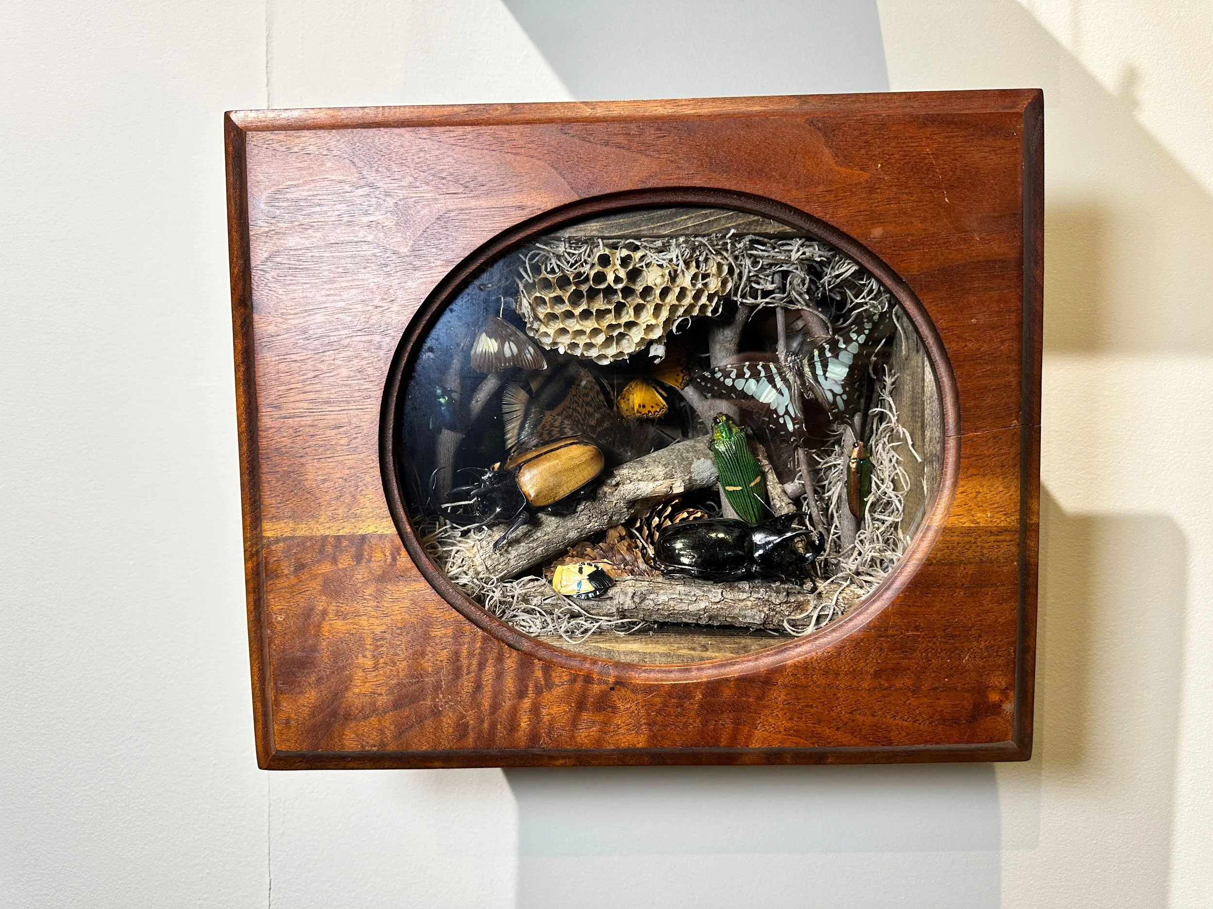 Im Buggin Out - 17.jpg