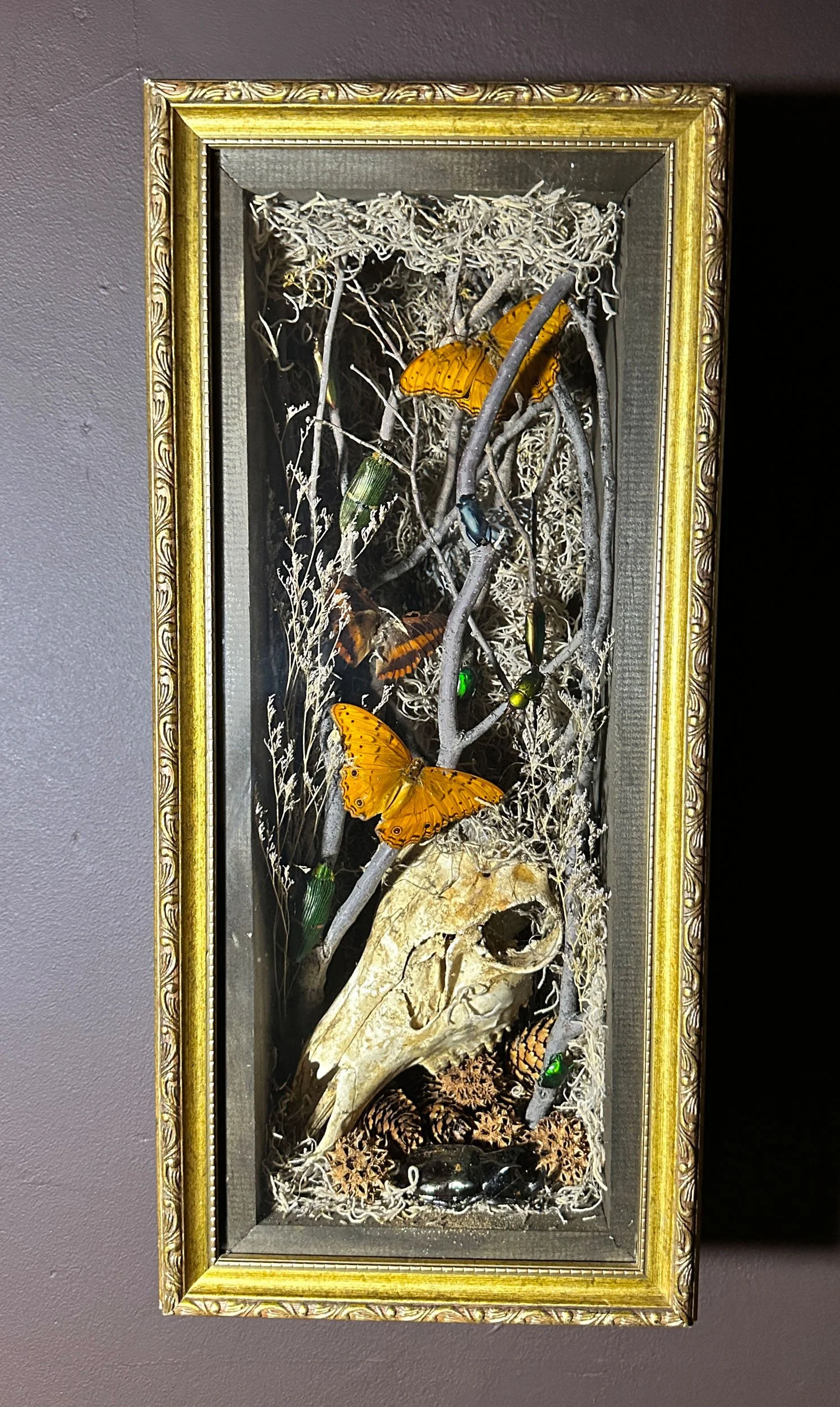 Im Buggin Out - 24.jpg