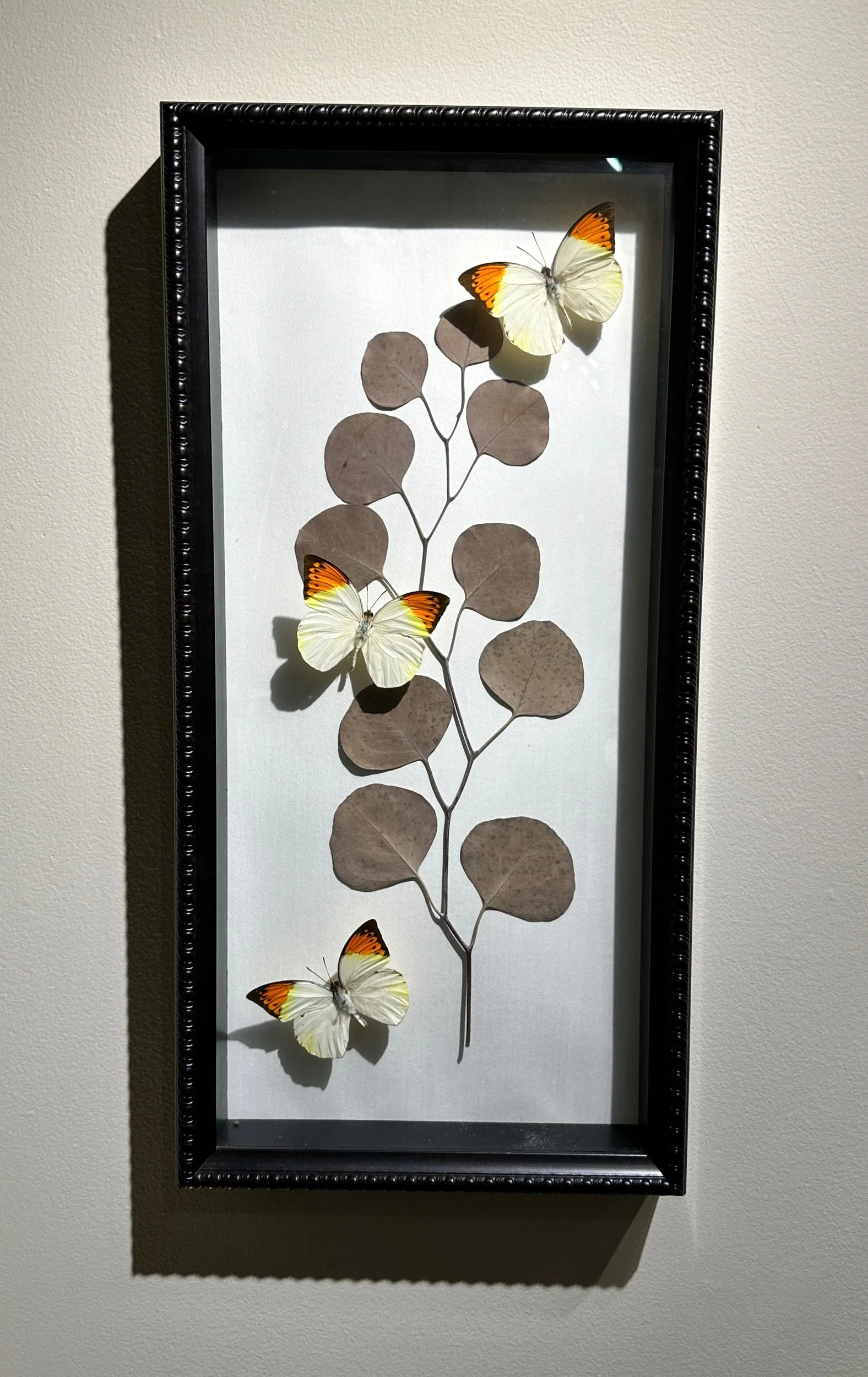 Im Buggin Out - 84.jpg