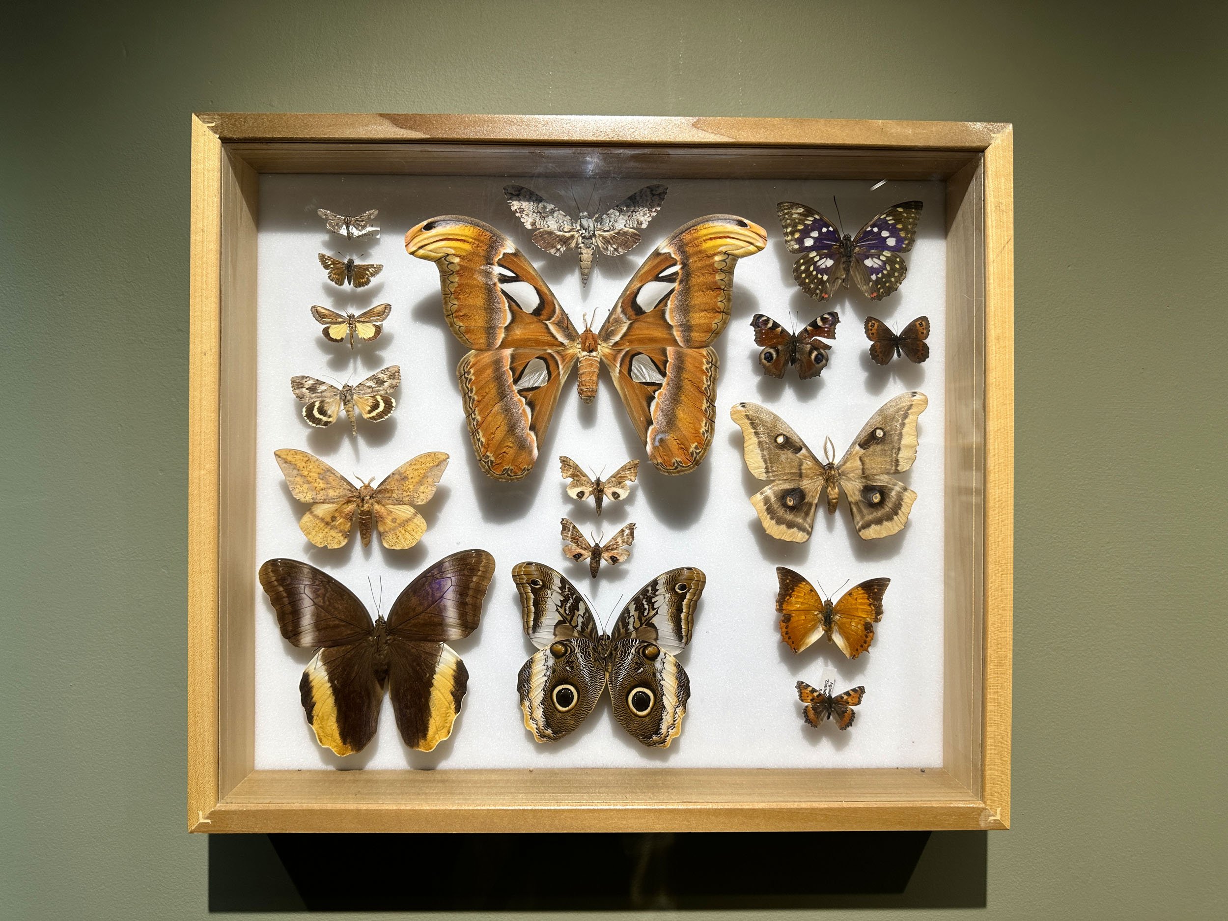 Im Buggin Out - 81.jpg