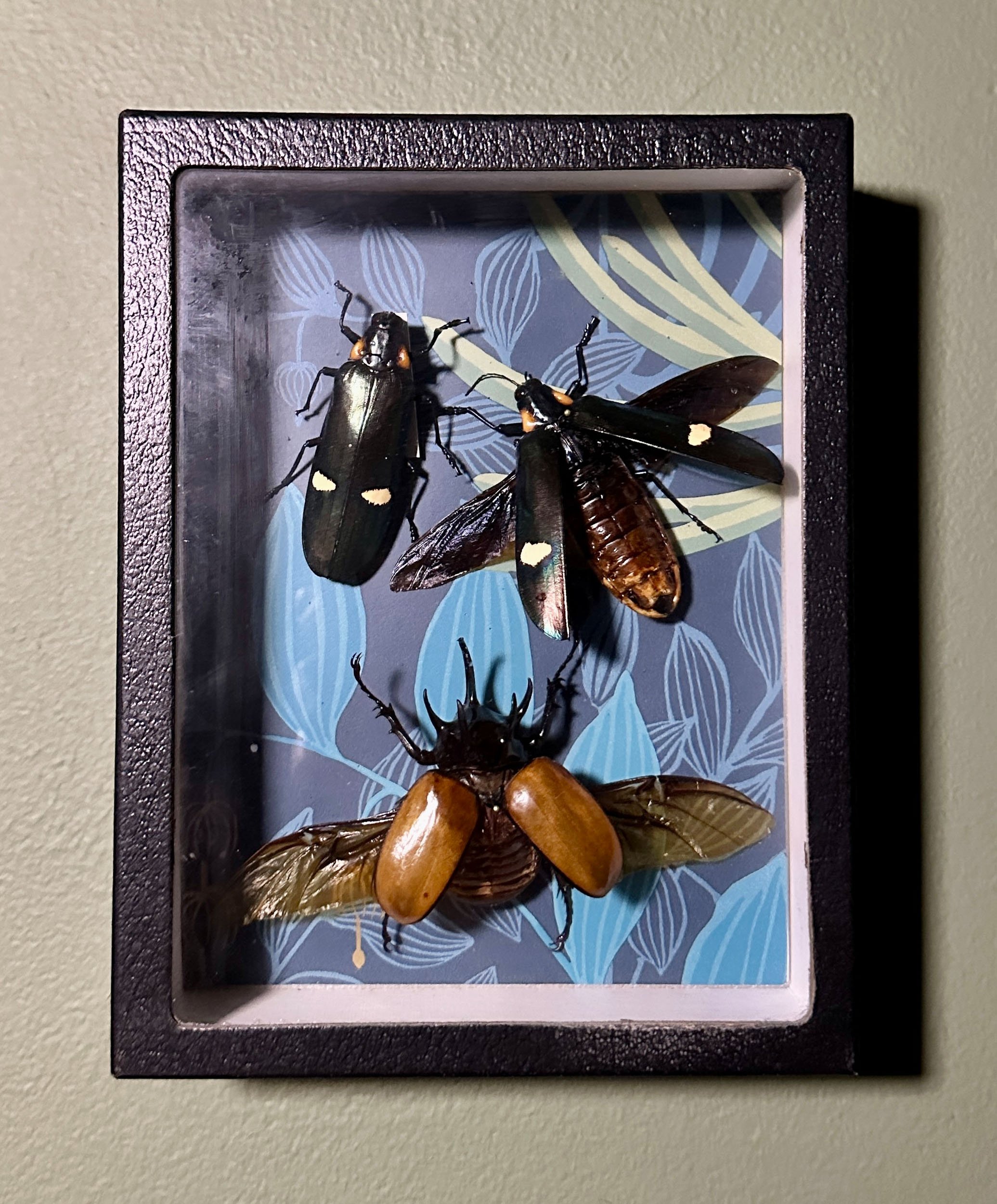 Im Buggin Out - 30.jpg