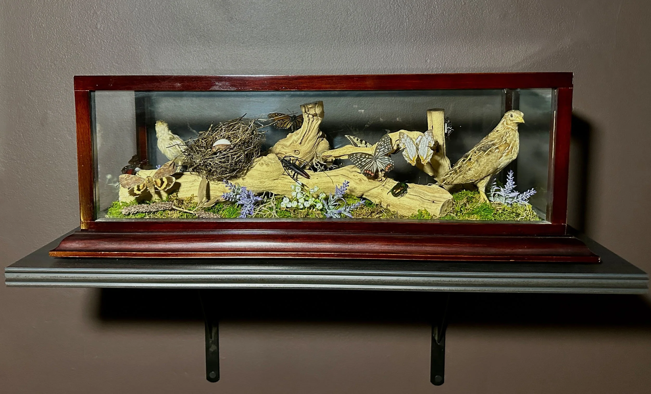 Im Buggin Out - 21.jpg