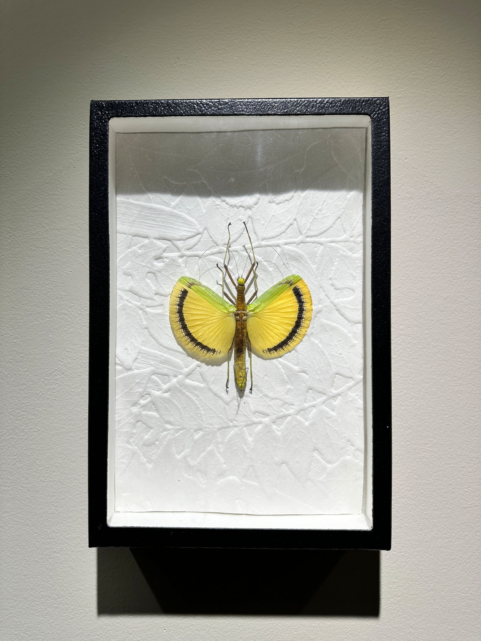 Im Buggin Out - 8.jpg