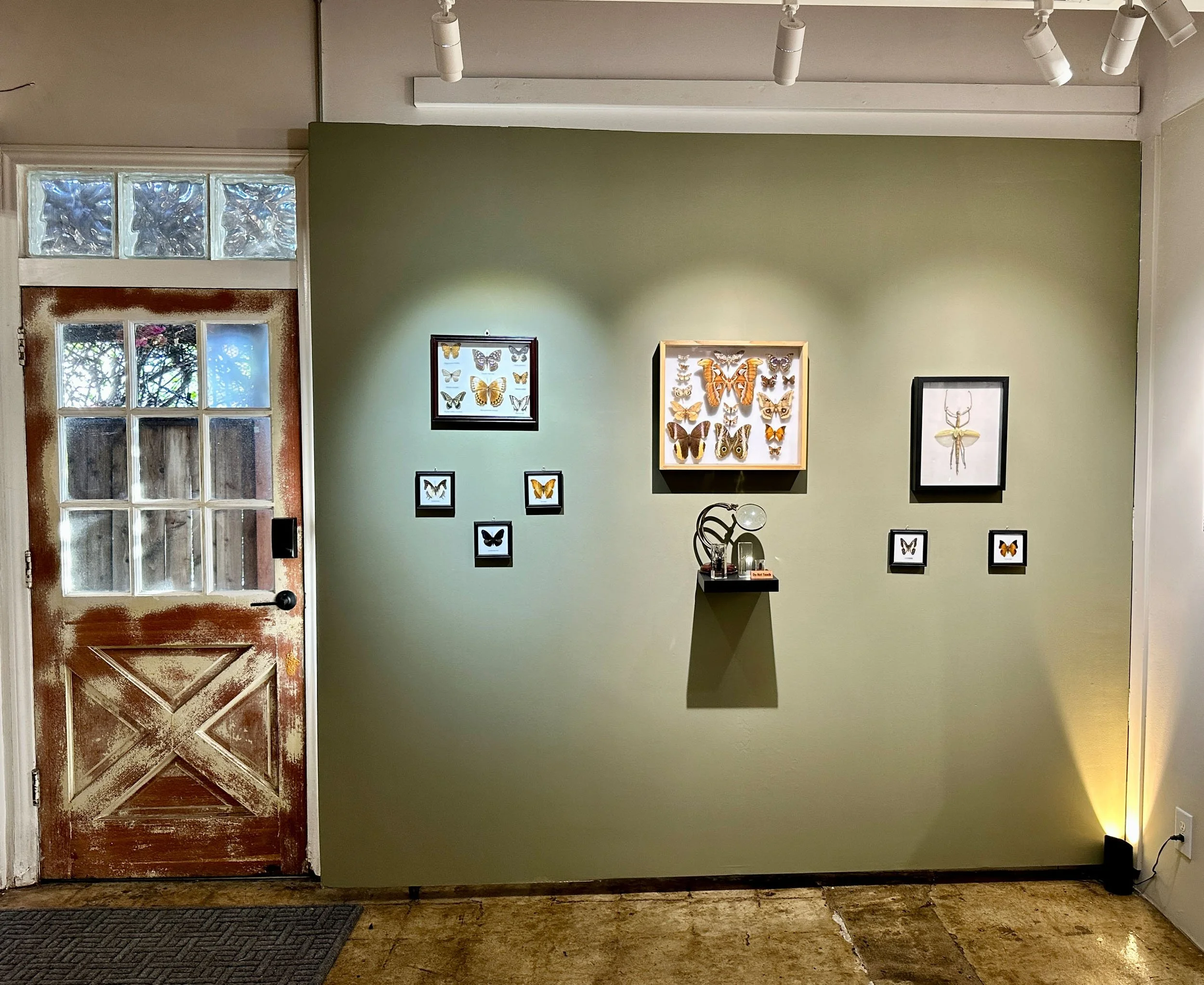 Im Buggin Out - 60.jpg