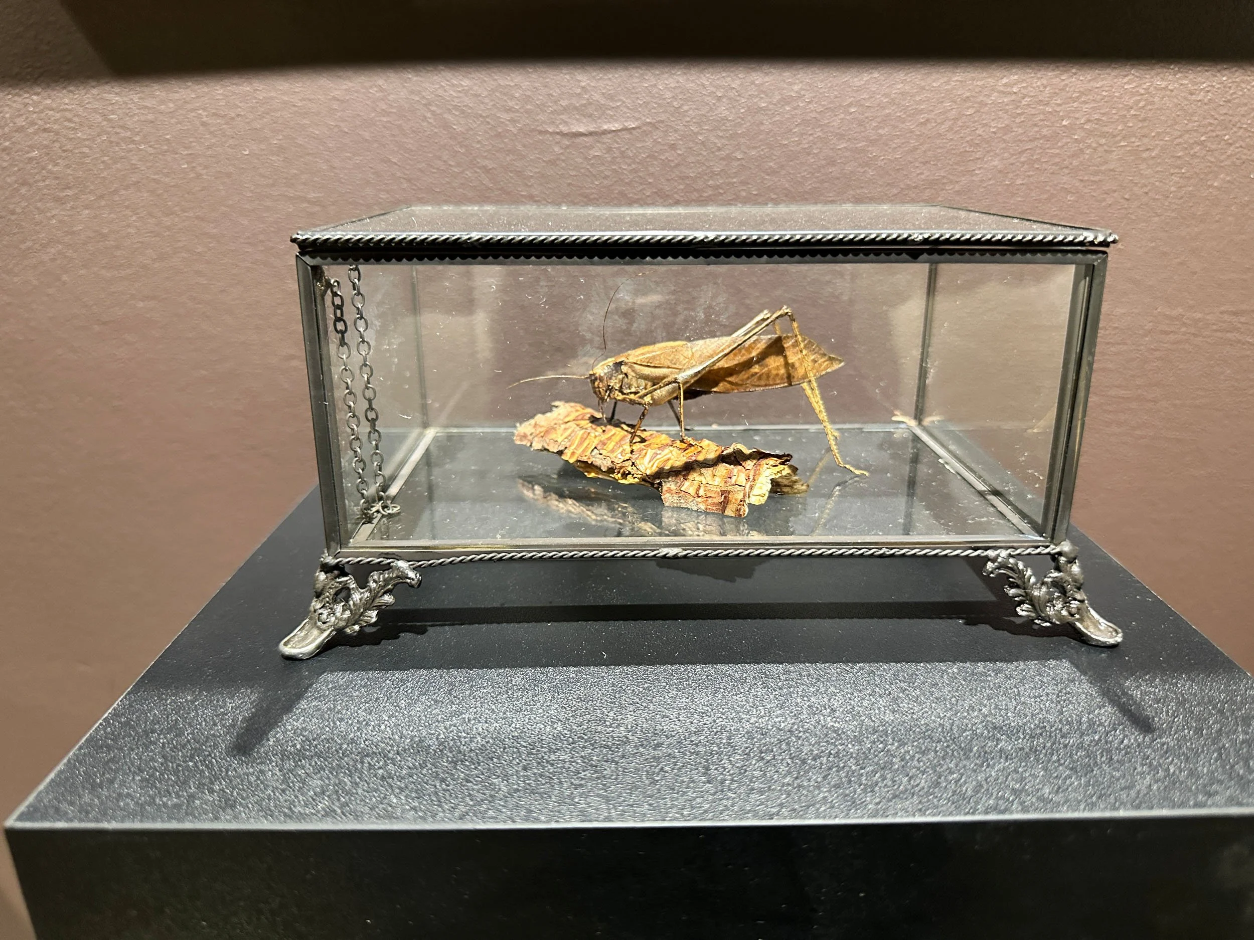 Im Buggin Out - 20.jpg