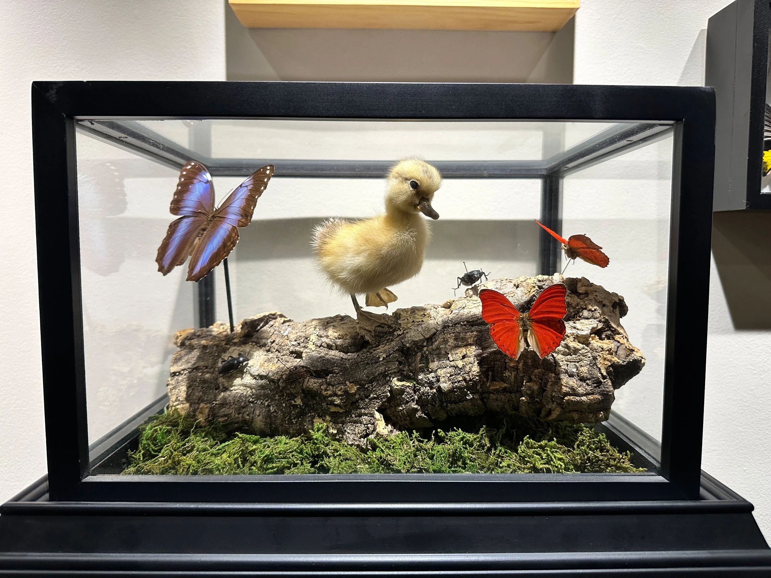 Im Buggin Out - 10.jpg