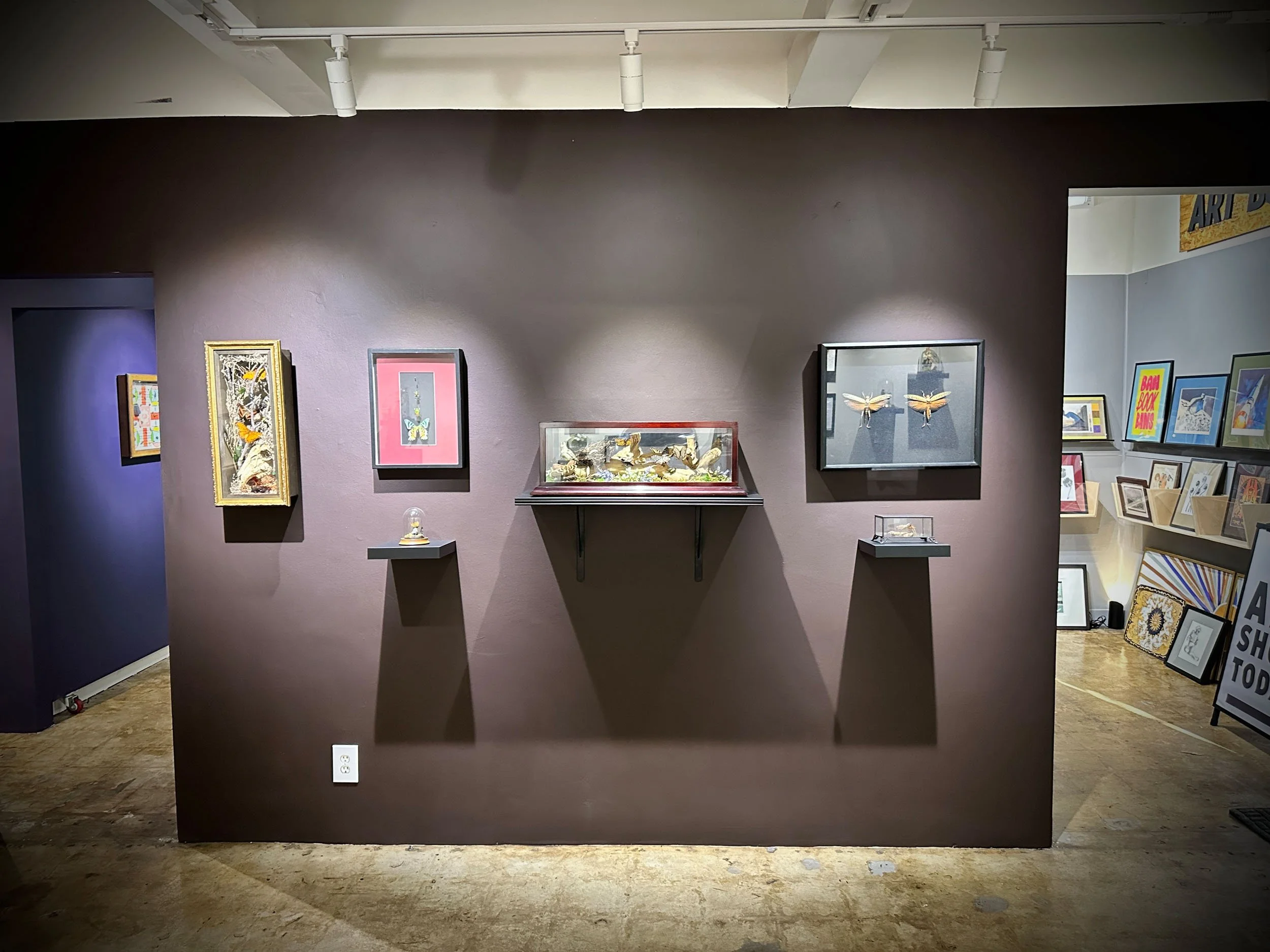 Im Buggin Out - 64.jpg