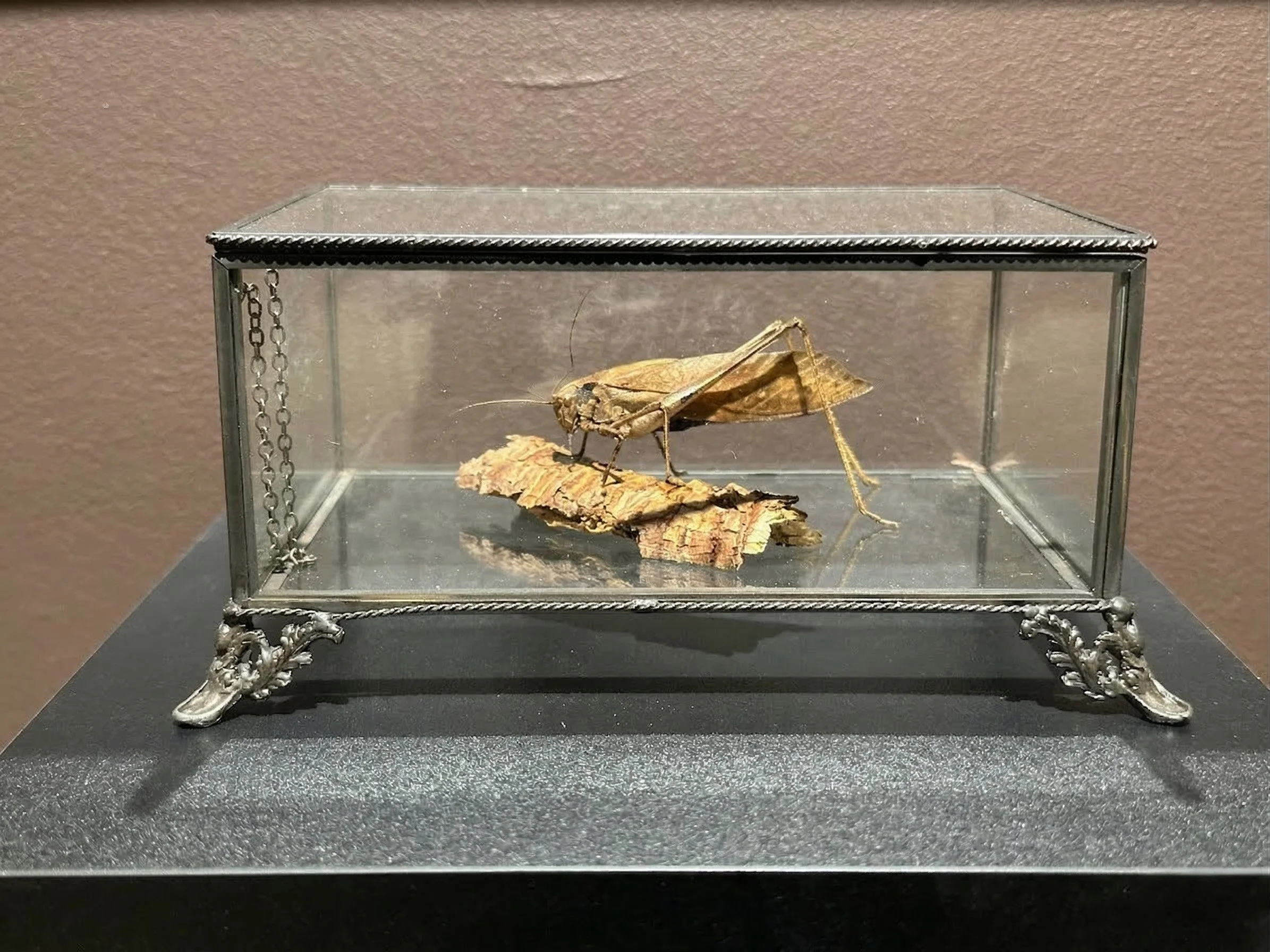 Im Buggin Out - 6.jpg