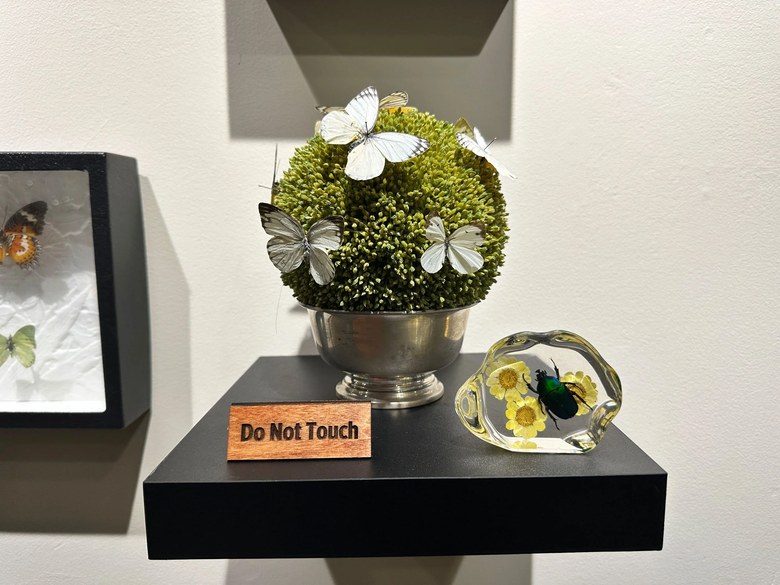 Im Buggin Out - 13.jpg