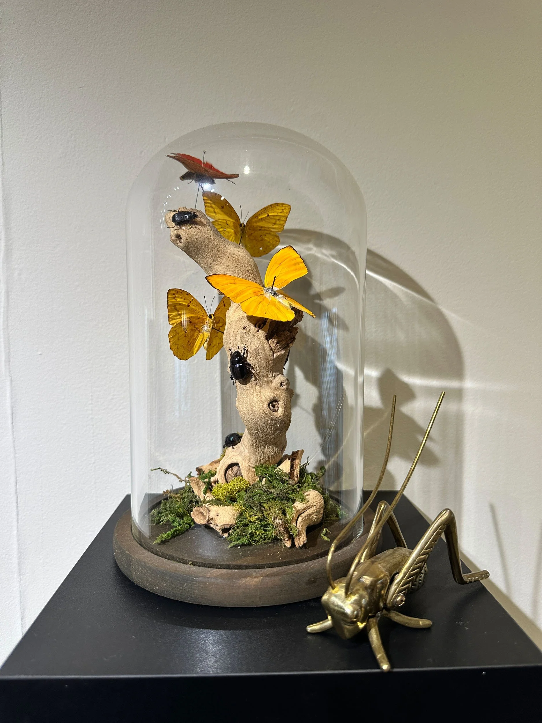 Im Buggin Out - 16.jpg