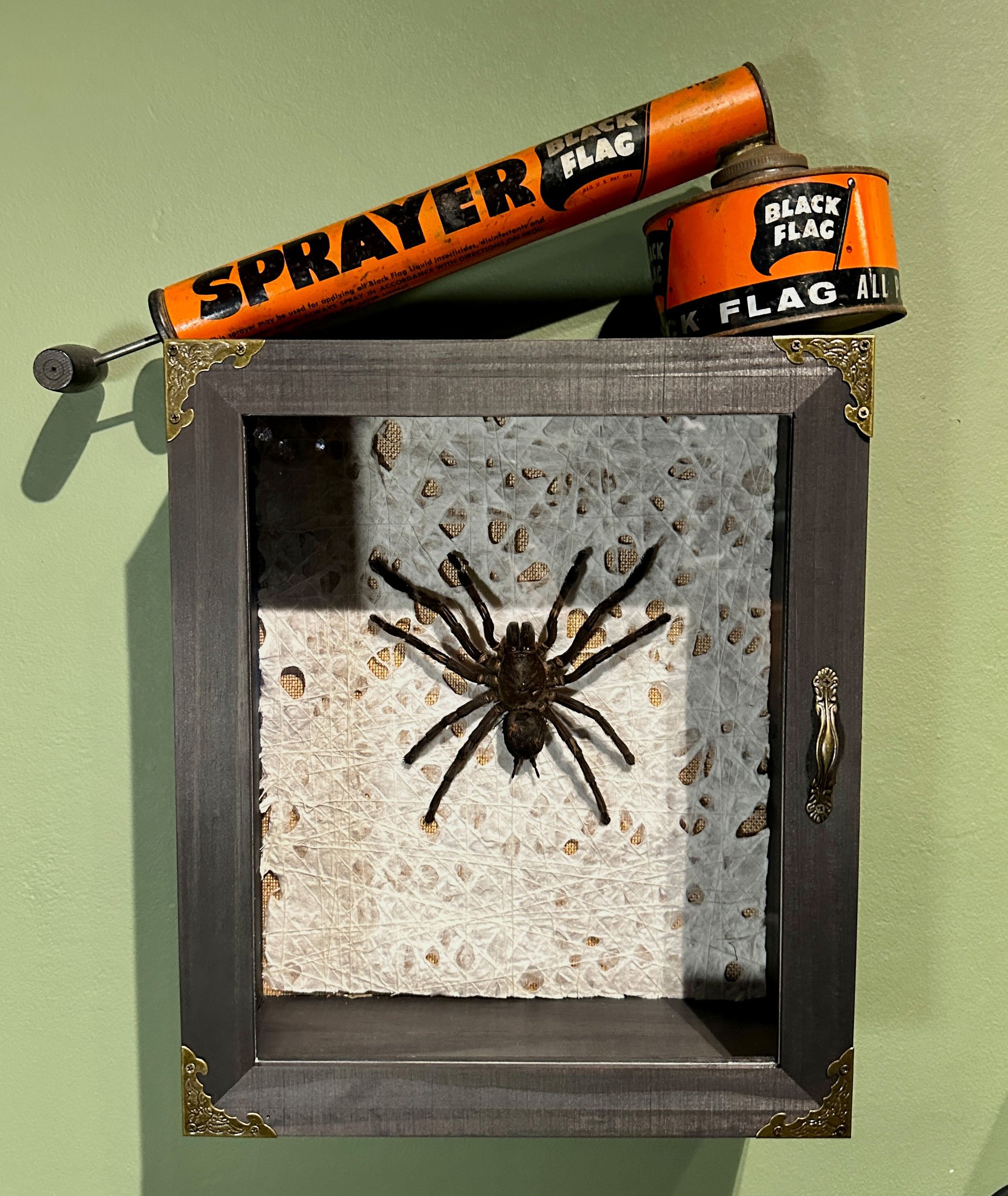 Im Buggin Out - 29.jpg