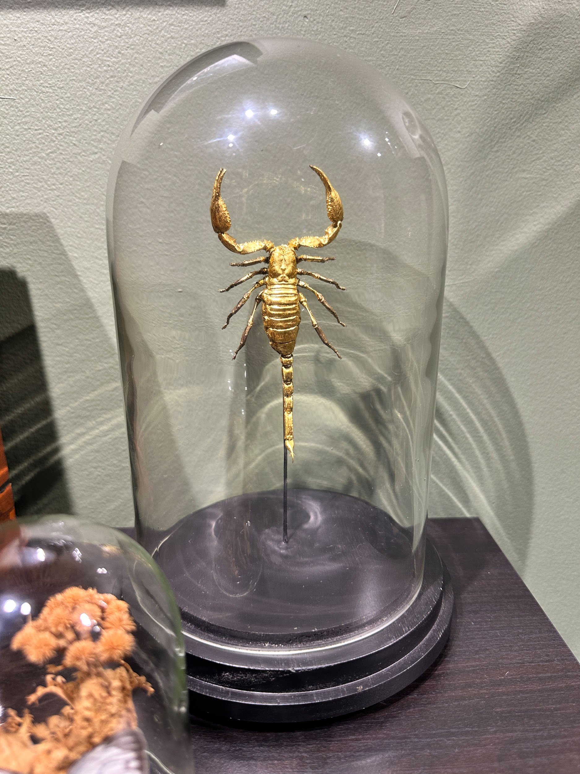 Im Buggin Out - 36.jpg