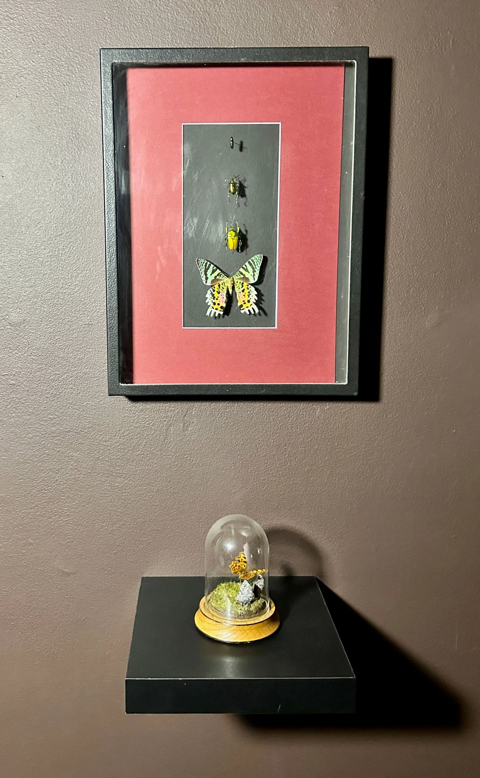 Im Buggin Out - 23.jpg