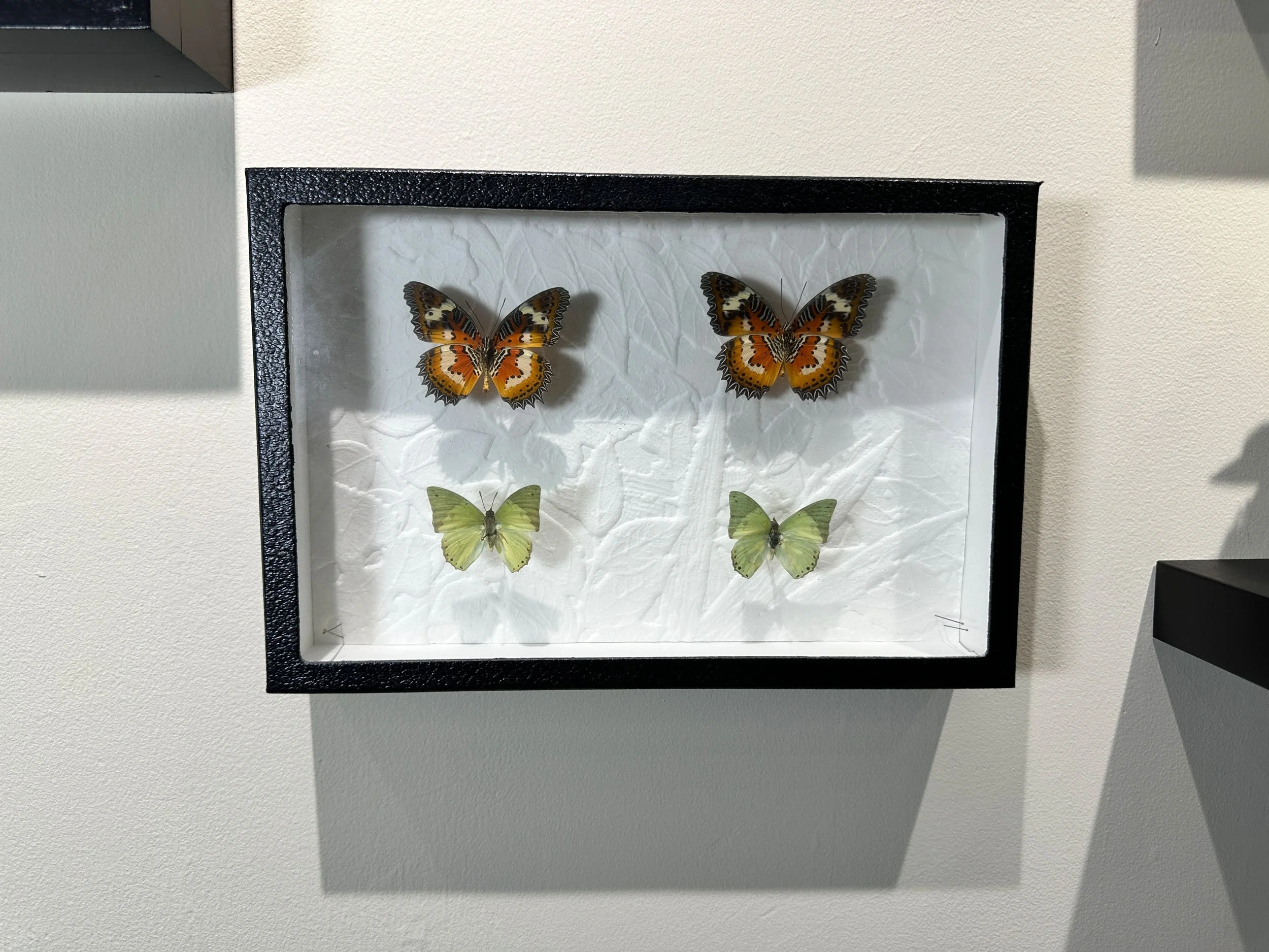 Im Buggin Out - 12.jpg