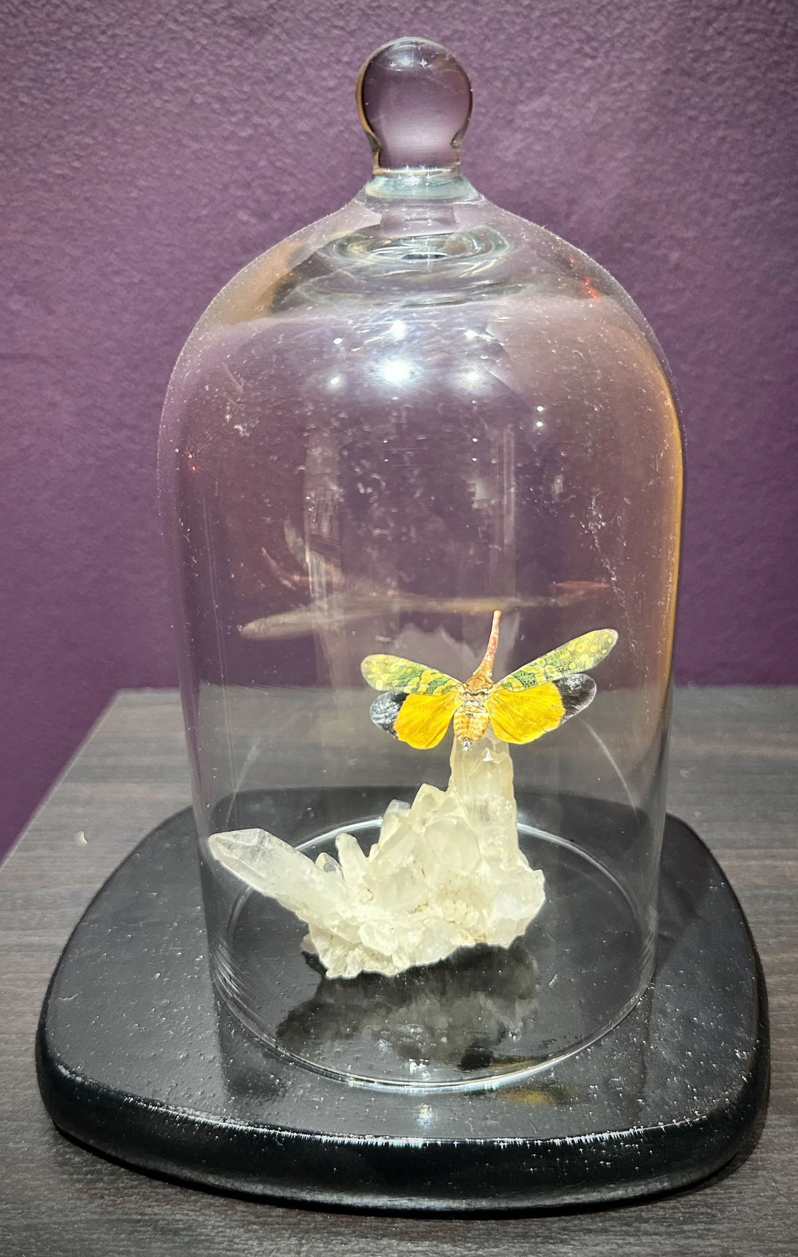 Im Buggin Out - 52.jpg